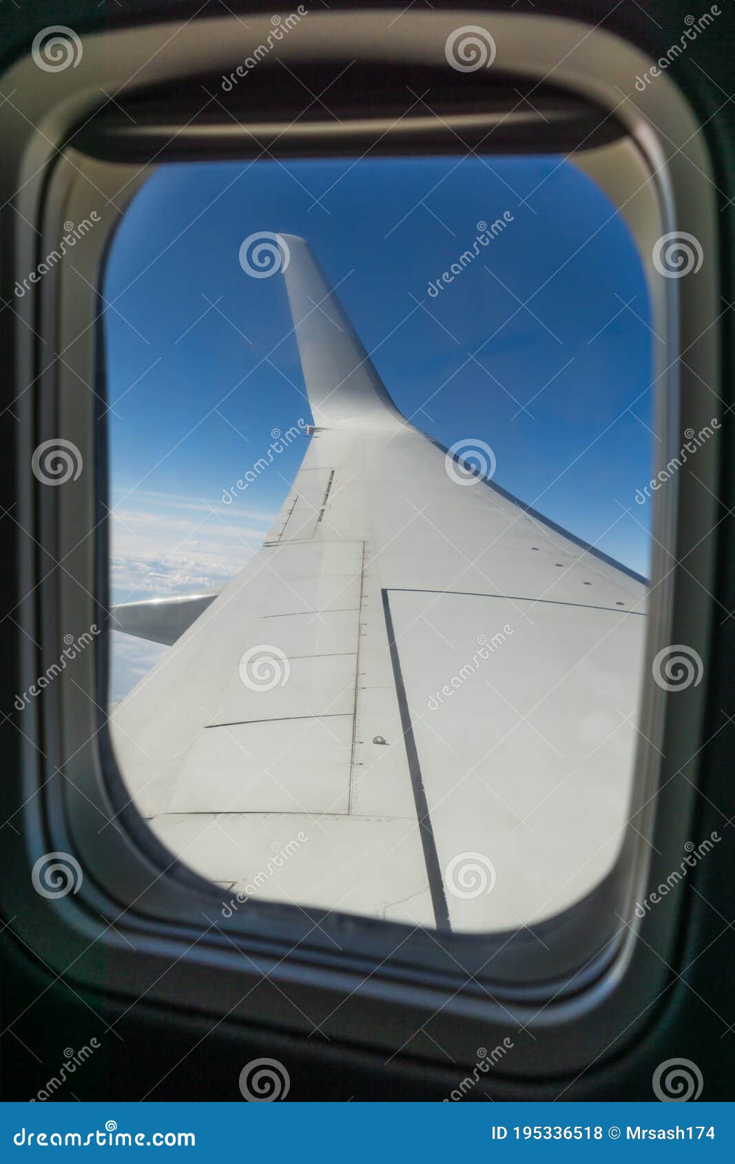          -      195336518