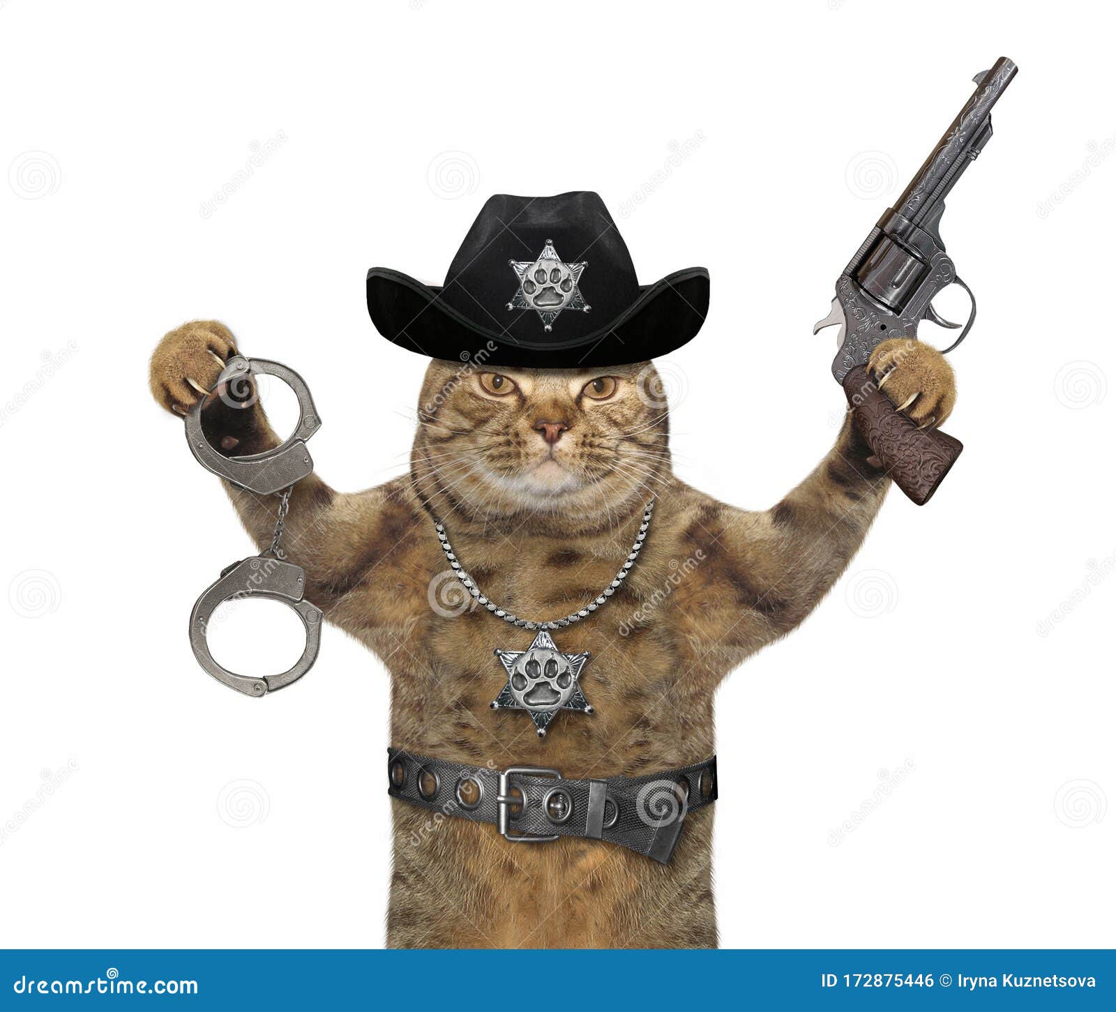 Коп и кот. Кот с пистолетом. Кот с револьвером. Кот полицейский. Кот с наганом.