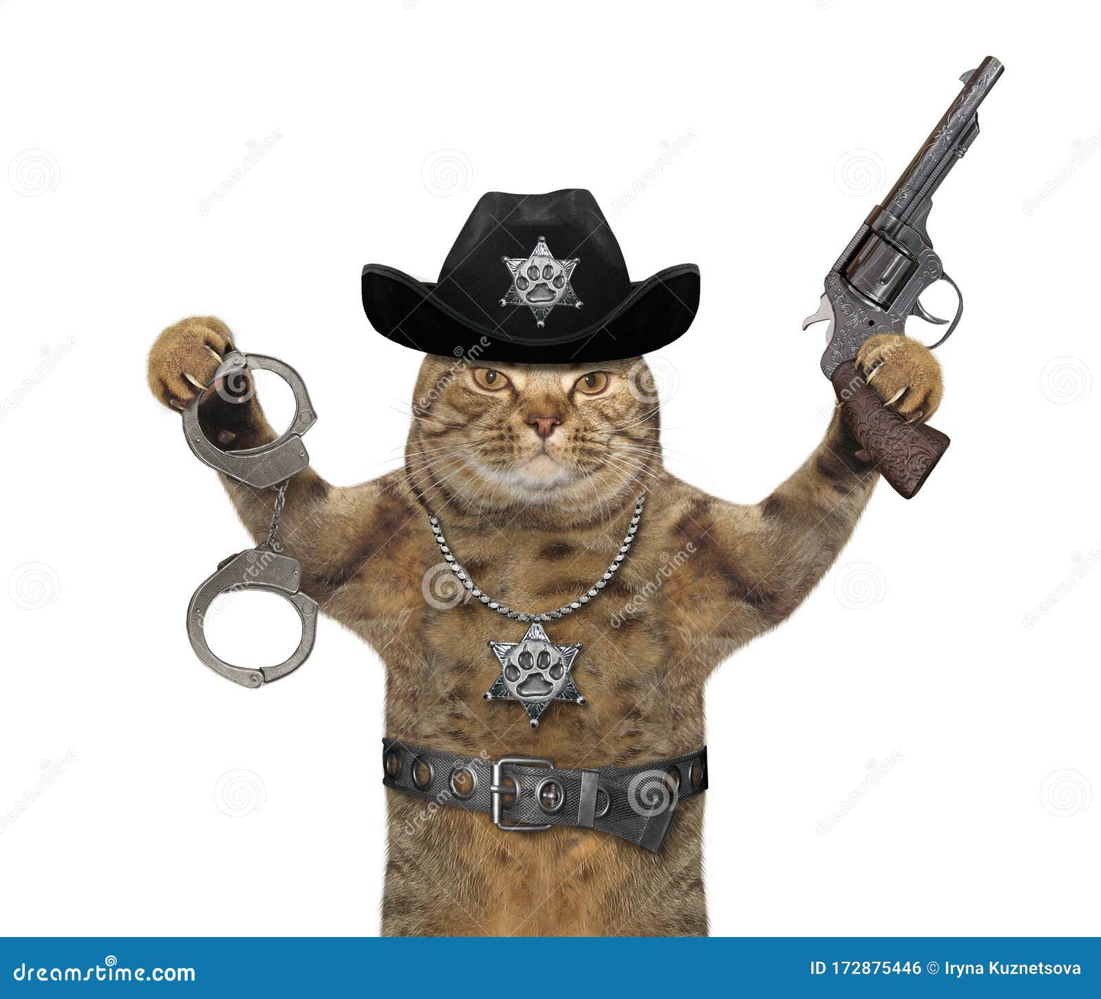 Кот с пистолетом
