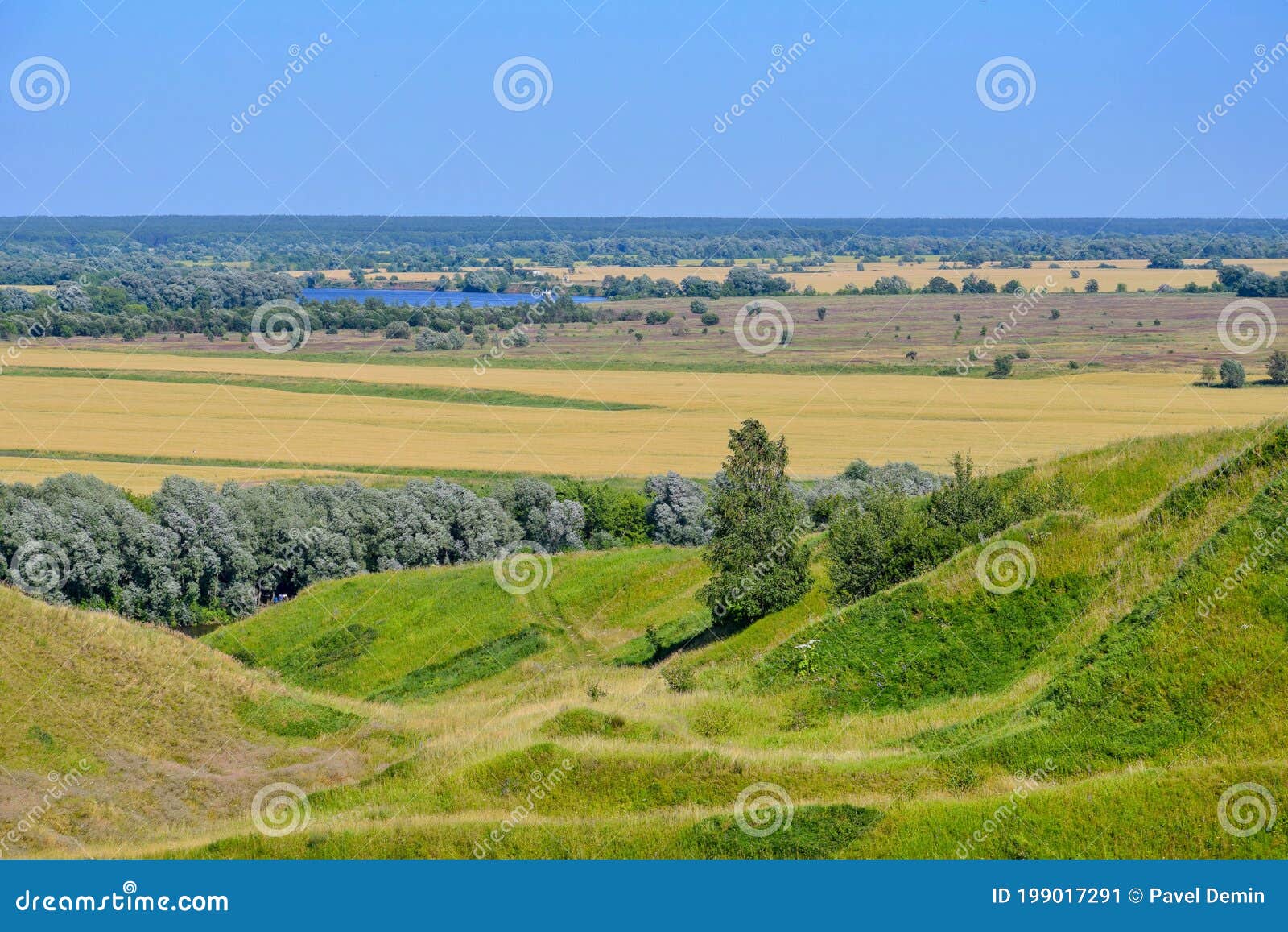 Фото Природы Московской