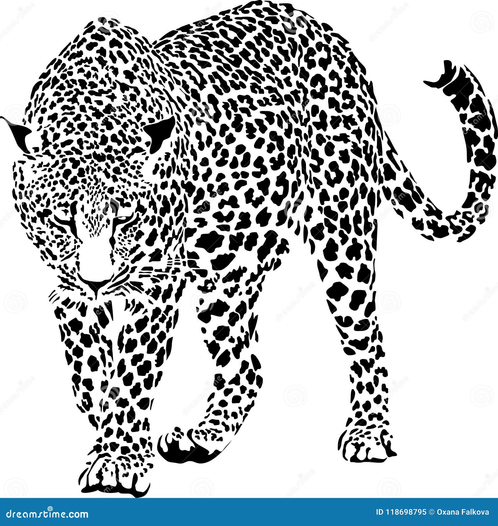 Леопард иллюстрация вектора. иллюстрации насчитывающей природа - 118698795