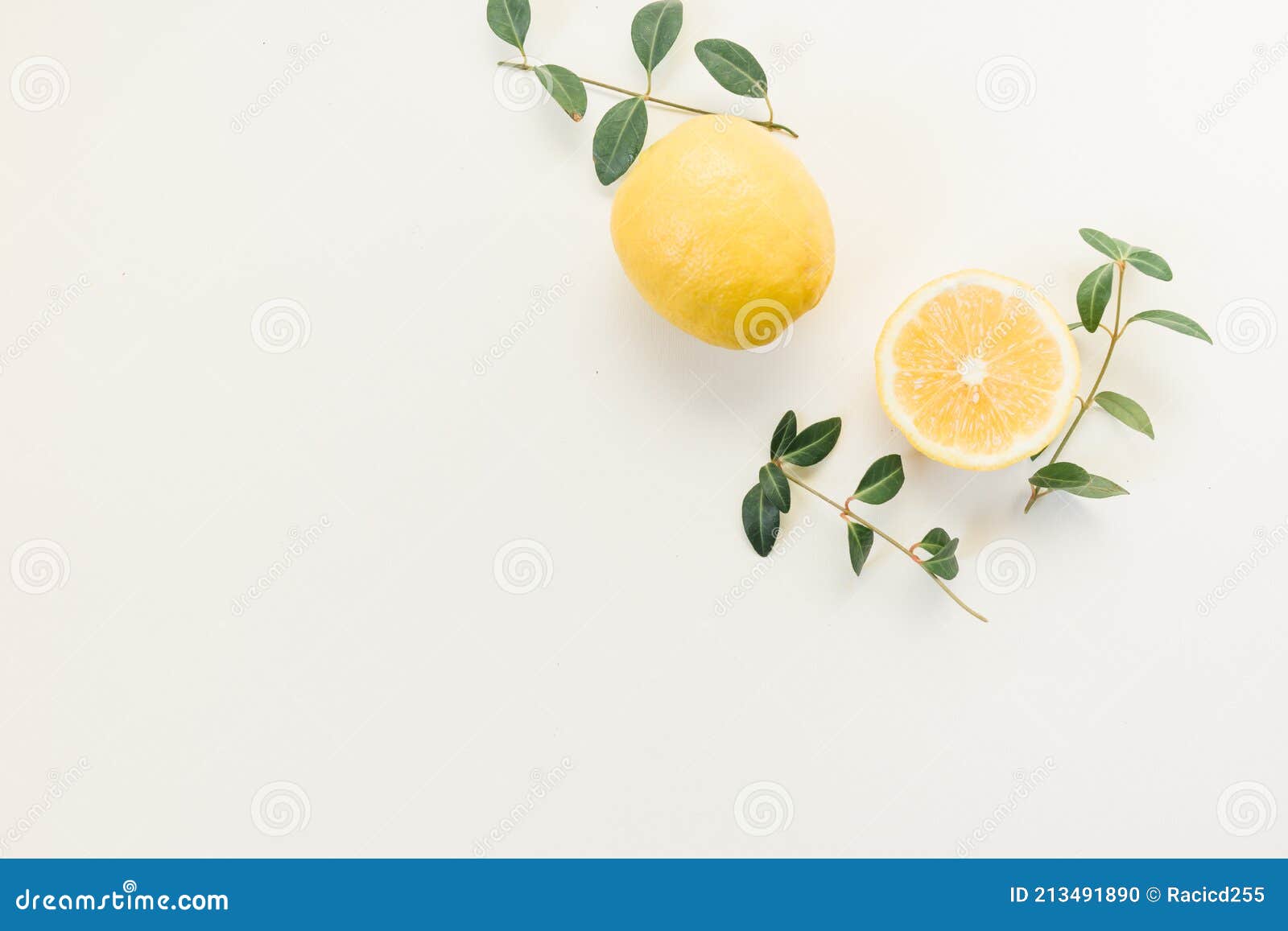 Лимон Фото Листьев