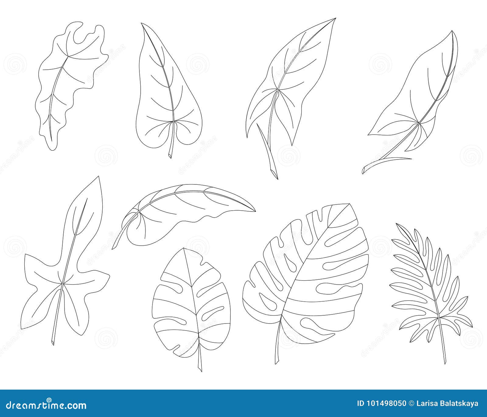 Листья тропических деревьев и лиан Иллюстрация вектора - иллюстрации  насчитывающей график, природа: 101498050
