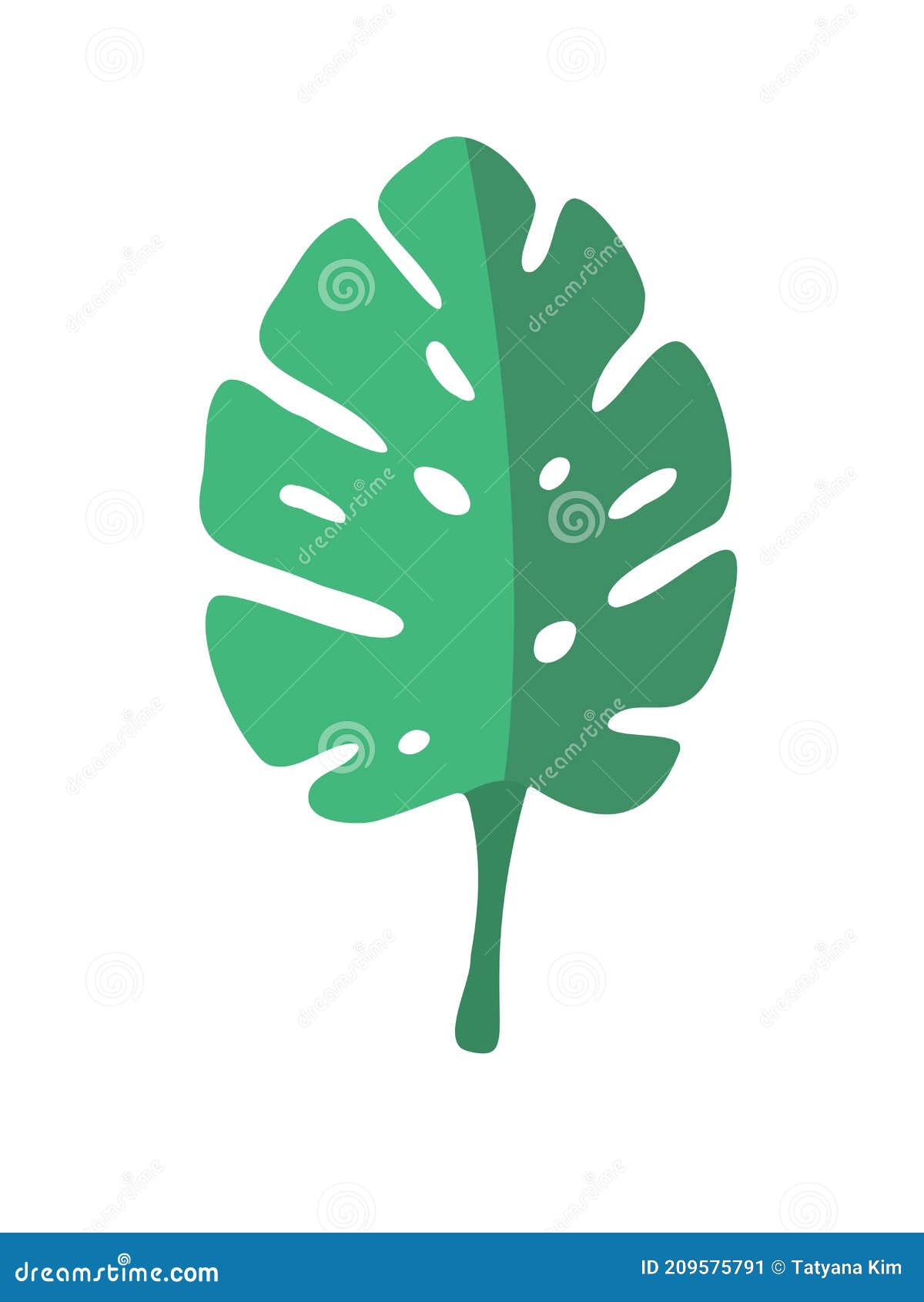 Лист Evergreen тропической лианы. Значок изображения вектора Иллюстрация  вектора - иллюстрации насчитывающей лето, черный: 209575791