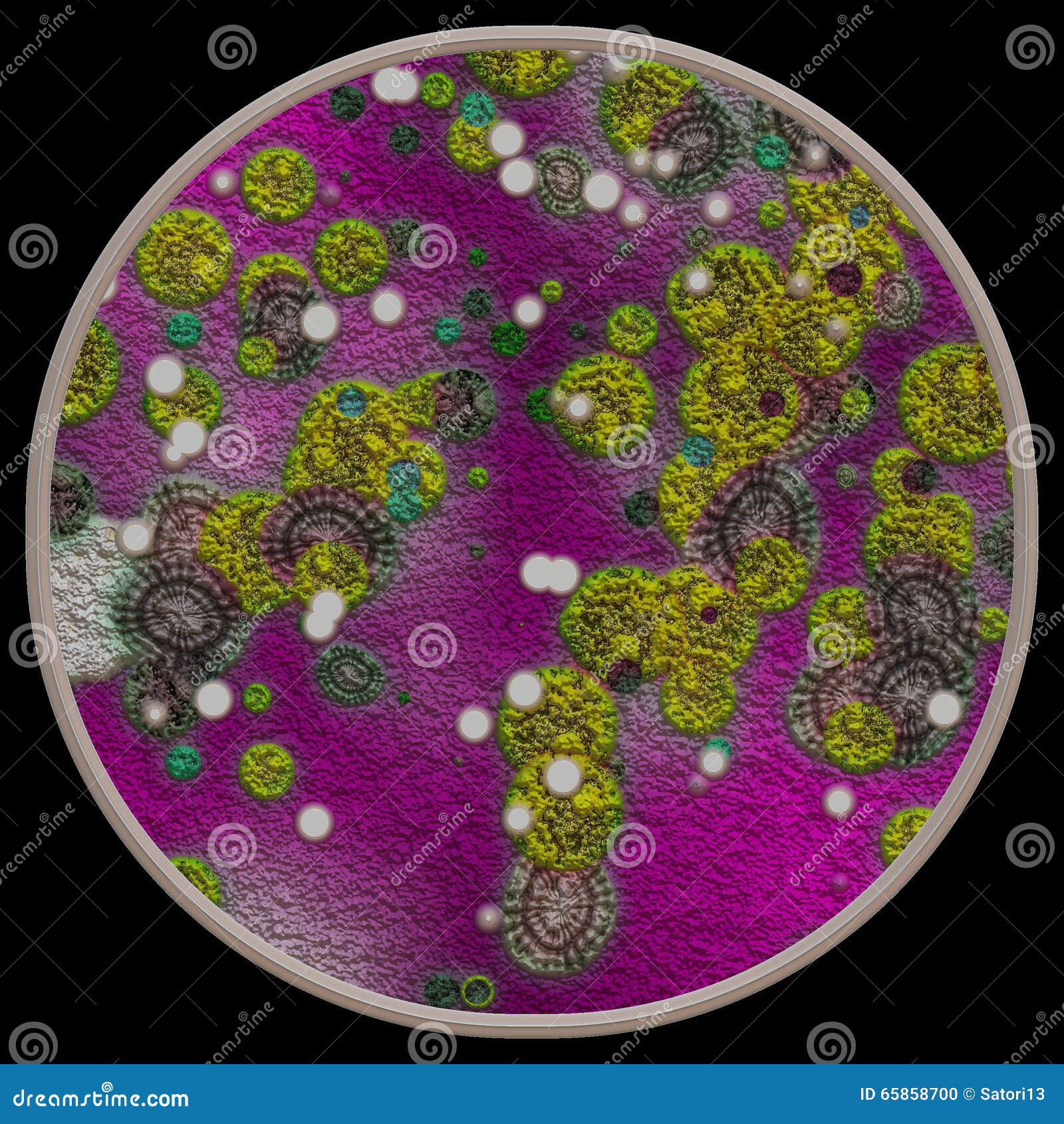 Лишайник и грибки под микроскопом Стоковое Фото - изображение насчитывающейхимия, клиническо: 65858700