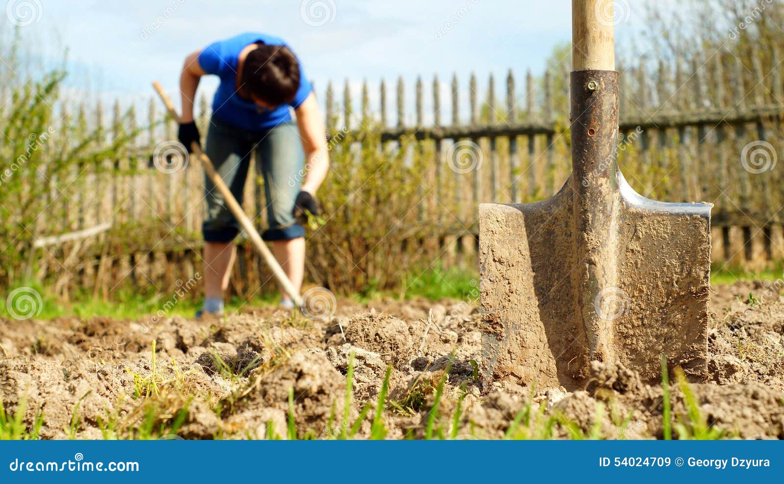Копать лопатой. Девушка с лопатой копает. Девушка копает землю. Лопата в земле.