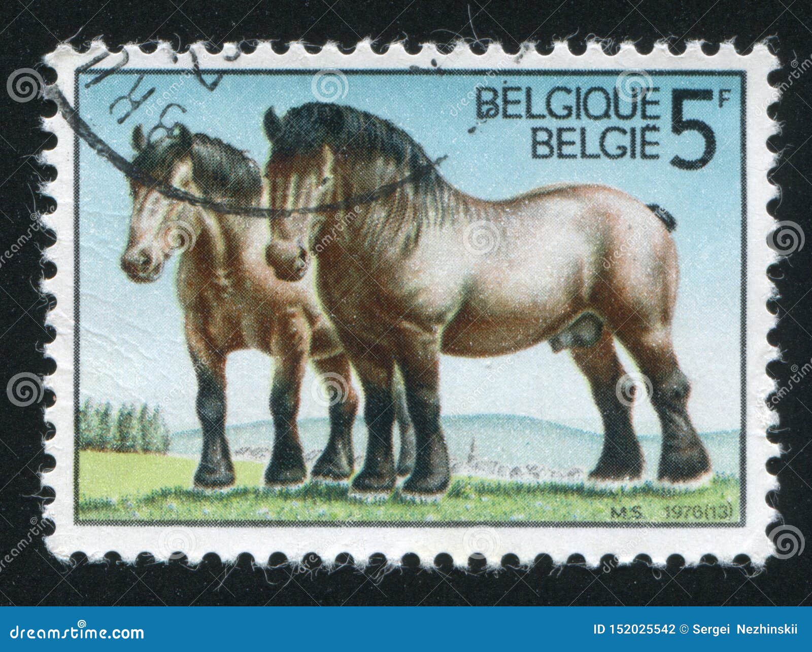 Лошадка марка. Лошади на почтовых марках. Марка с лошадкой. Породы лошадей с фотографиями. Антикварные марки лошадь конь.
