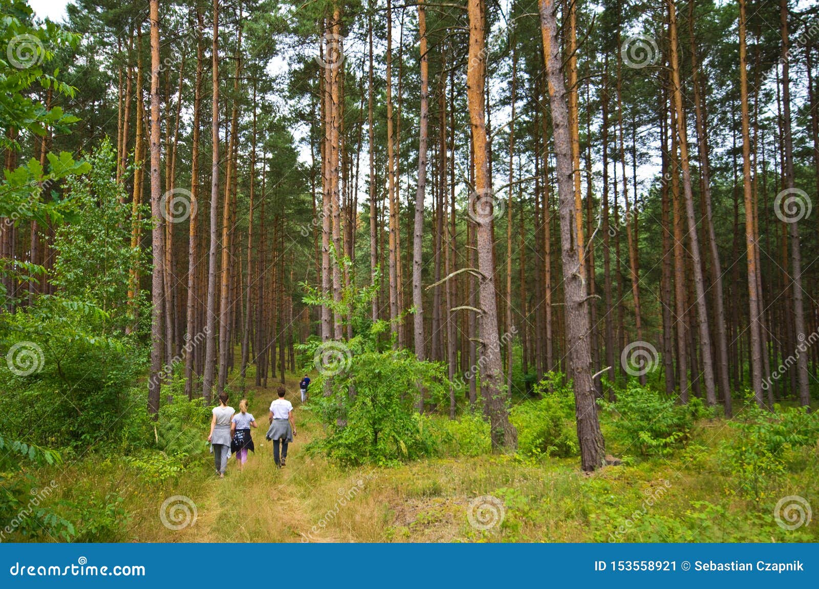 Фото Людей В Лесу