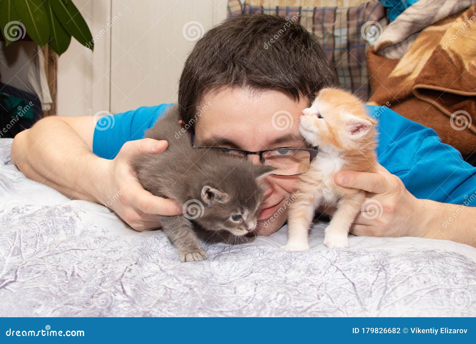 Маленькие красивые мягкие кошки лучший выход для стресса Стоковое Фото -  изображение насчитывающей котята, обнять: 179826682