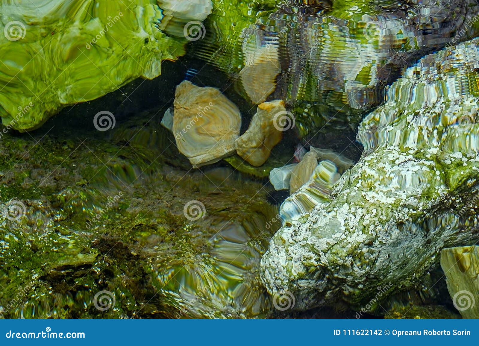 Камни Под Водой Фото
