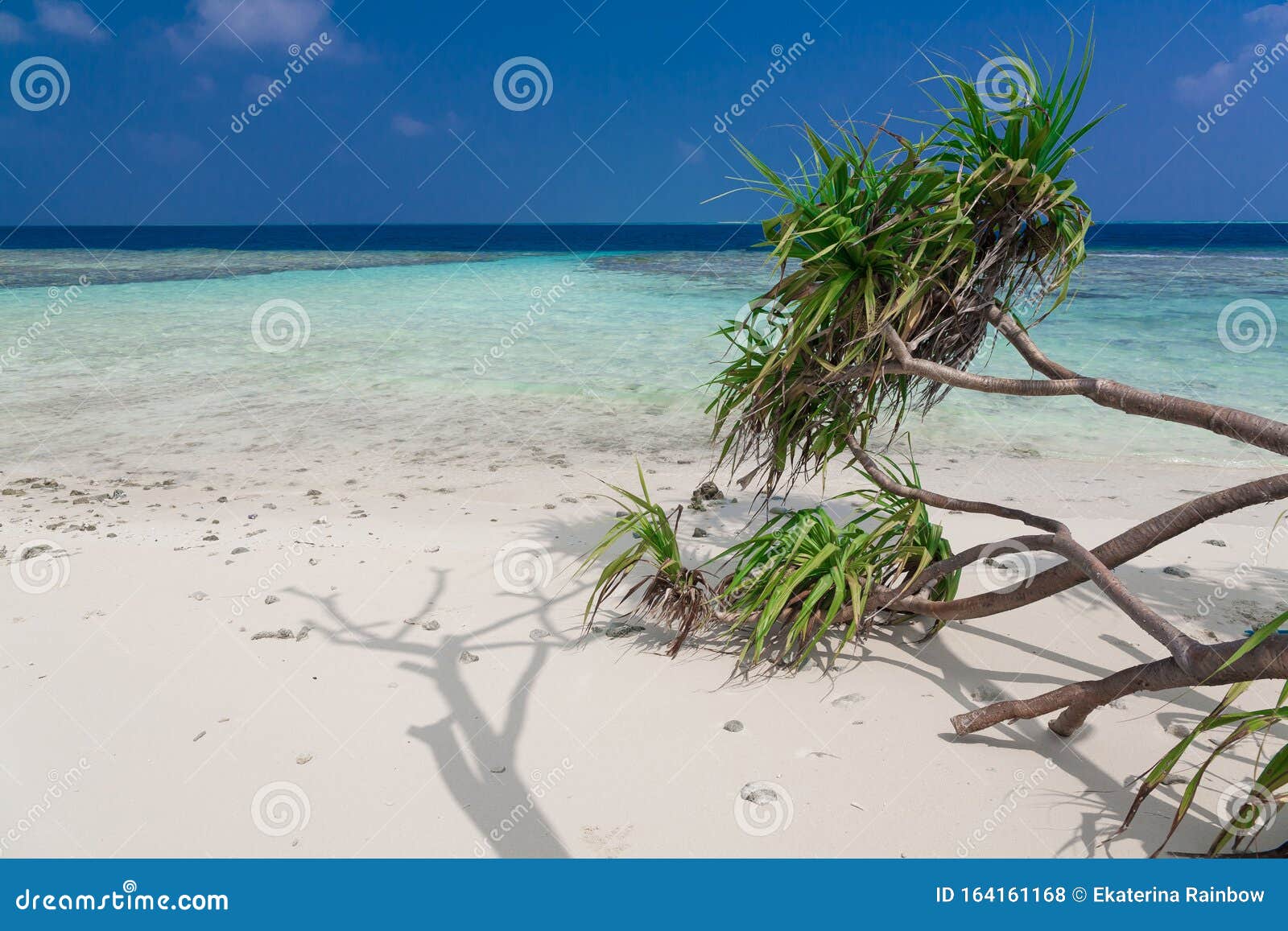 Мальдивы, тропический морской фон Стоковое Фото - изображение насчитывающей  мир, сезон: 164161168