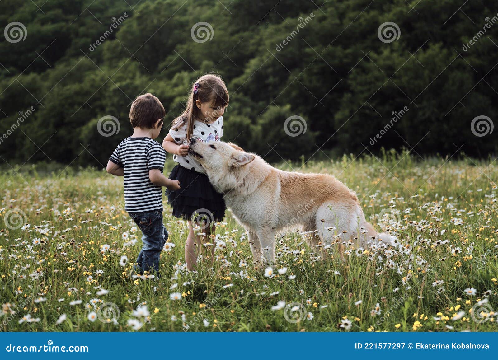 Собака для детей. Собака для детей. Девочка брат собака. Собака для детей. Тибетский мастиф щенок.