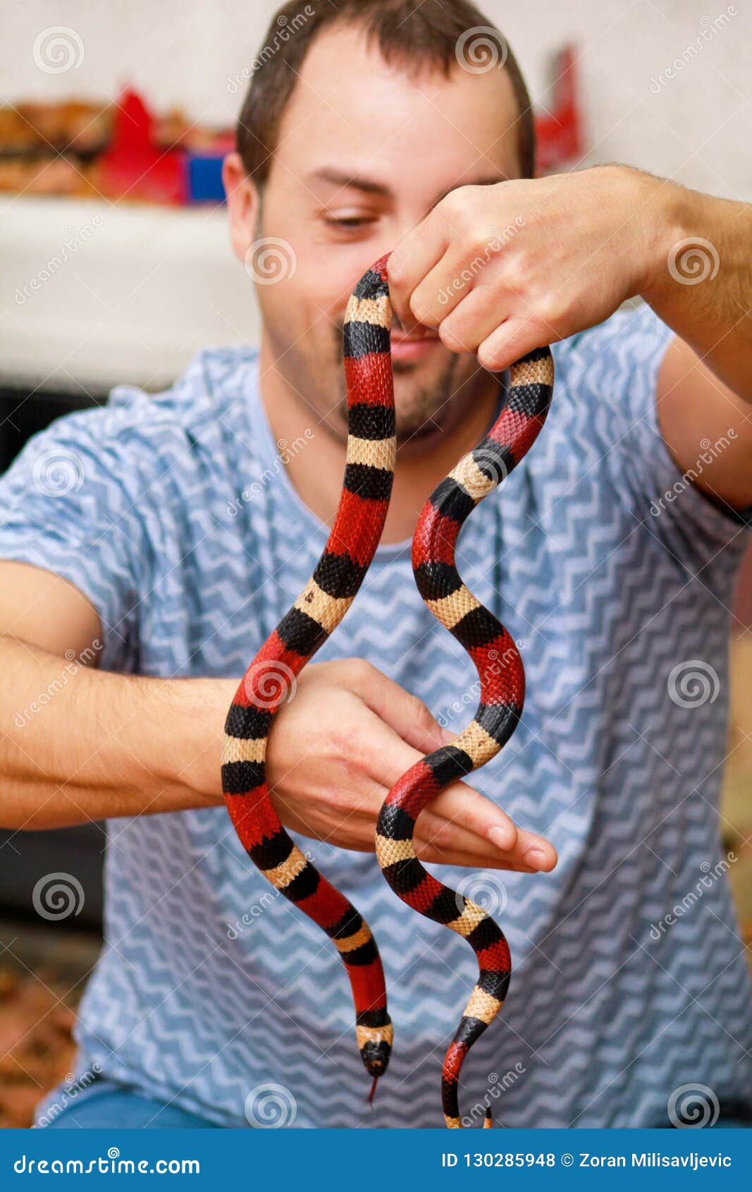 Ребенок держит змею. Человек со змеями. Человек держит змею.