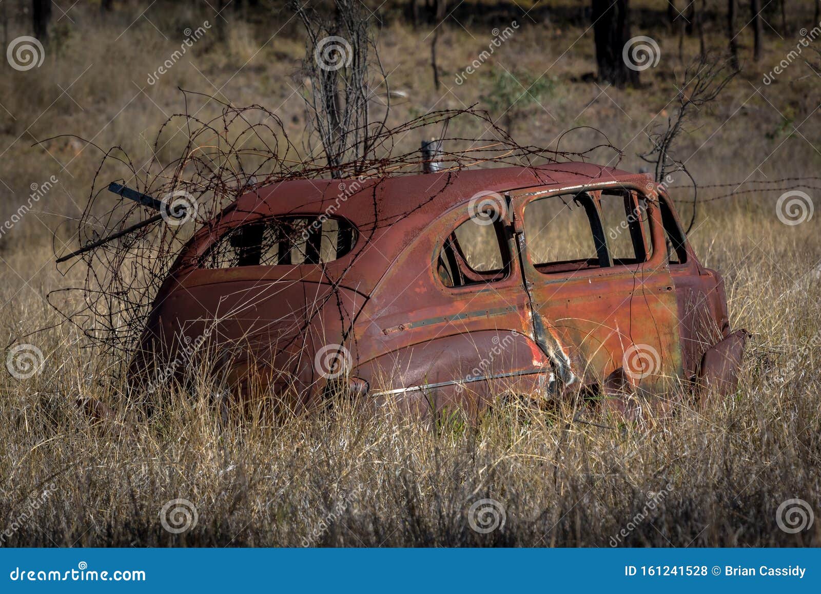 Фото Машина В Поле