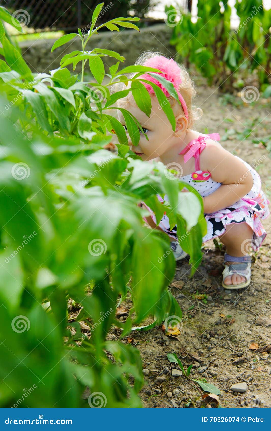Пописать кустик. Девочка в кустах. Девочка за кустом. Куст для детей. Девочка маленькая под кустами.
