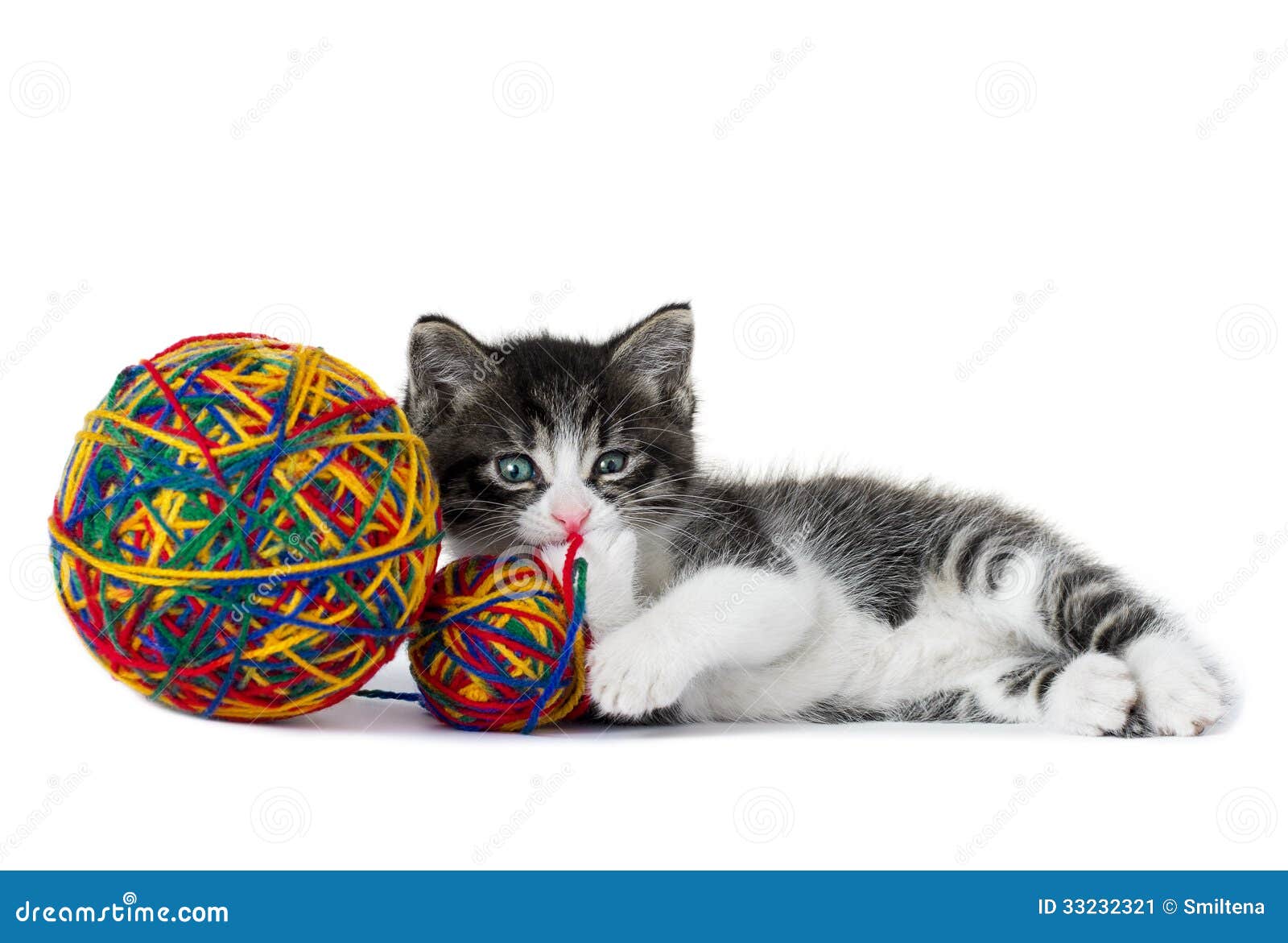 Котенок играет с клубком