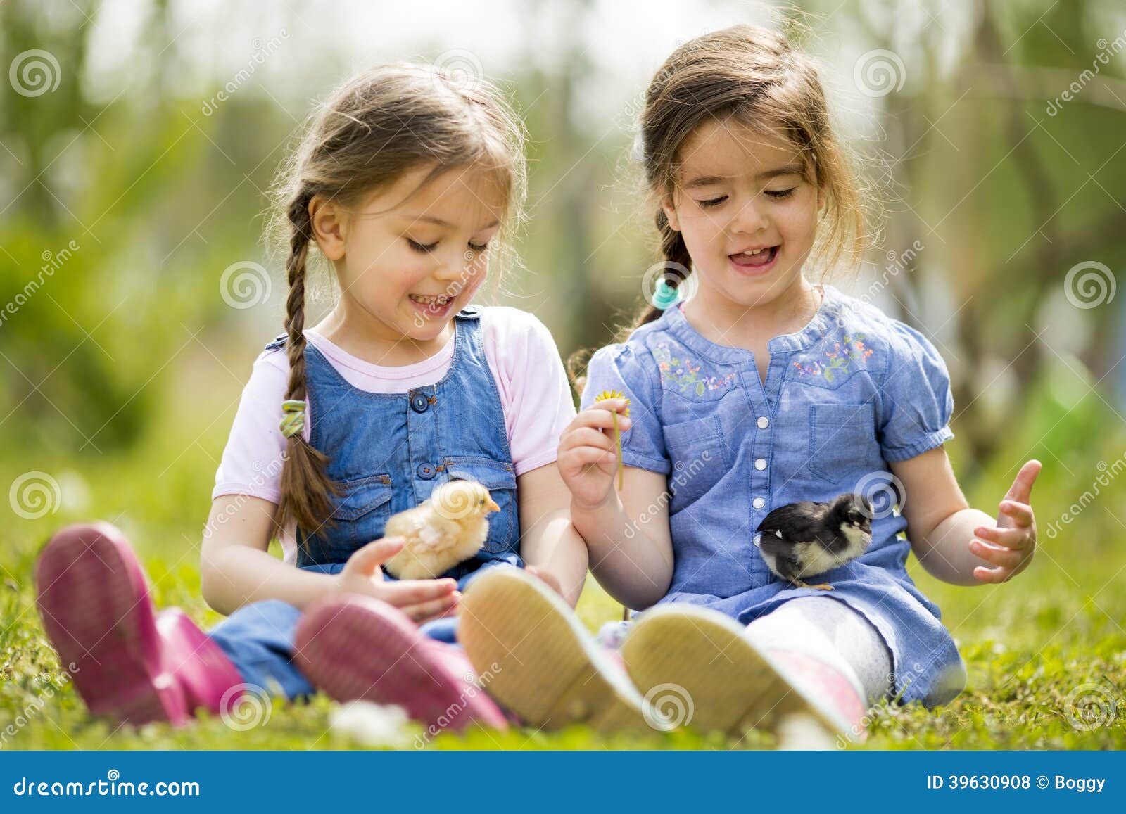 Little girl sisters. Приветствие двух девочек. Маленькая девочка и цыплята. Цыпленок девочка. Привет. 2 Девочки.