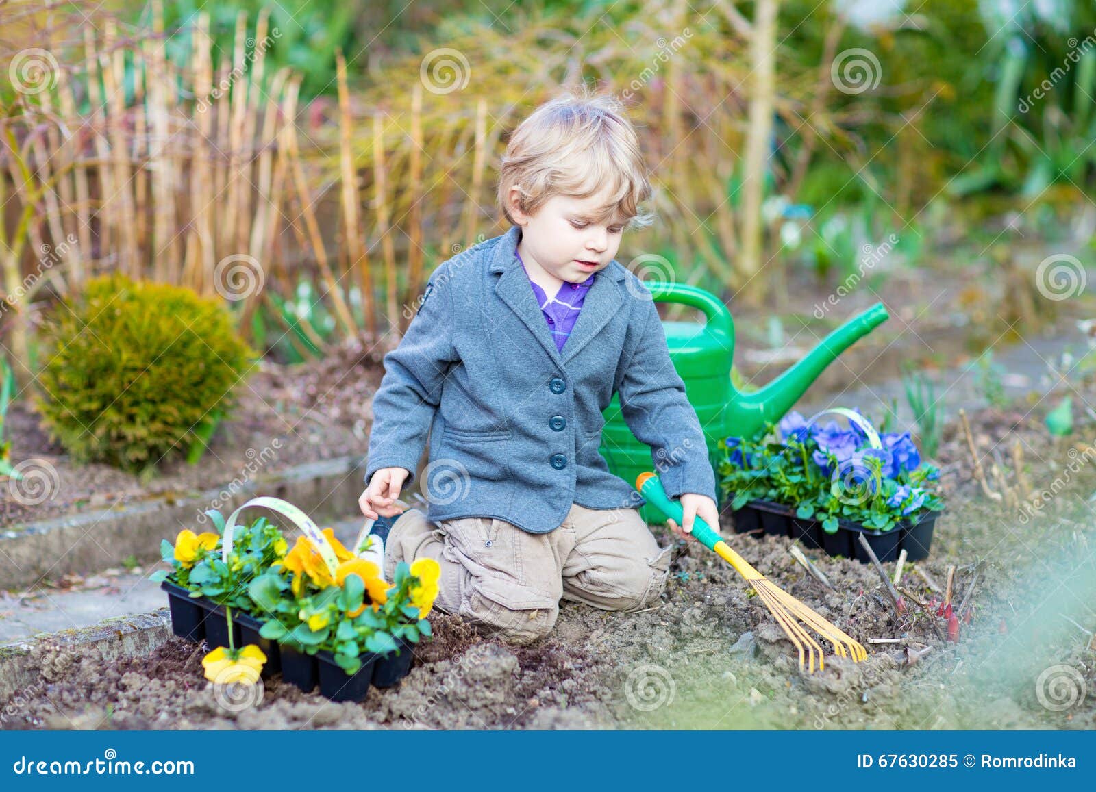 Когда можно садить мальчика. Мальчик в саду. Дети сажают цветы. Мальчик сажает цветы. Дети выращивают цветы.