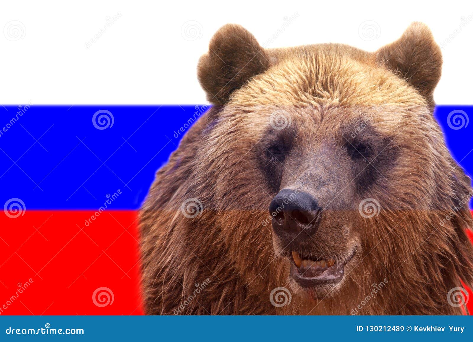 Неофициальный символ россии медведь