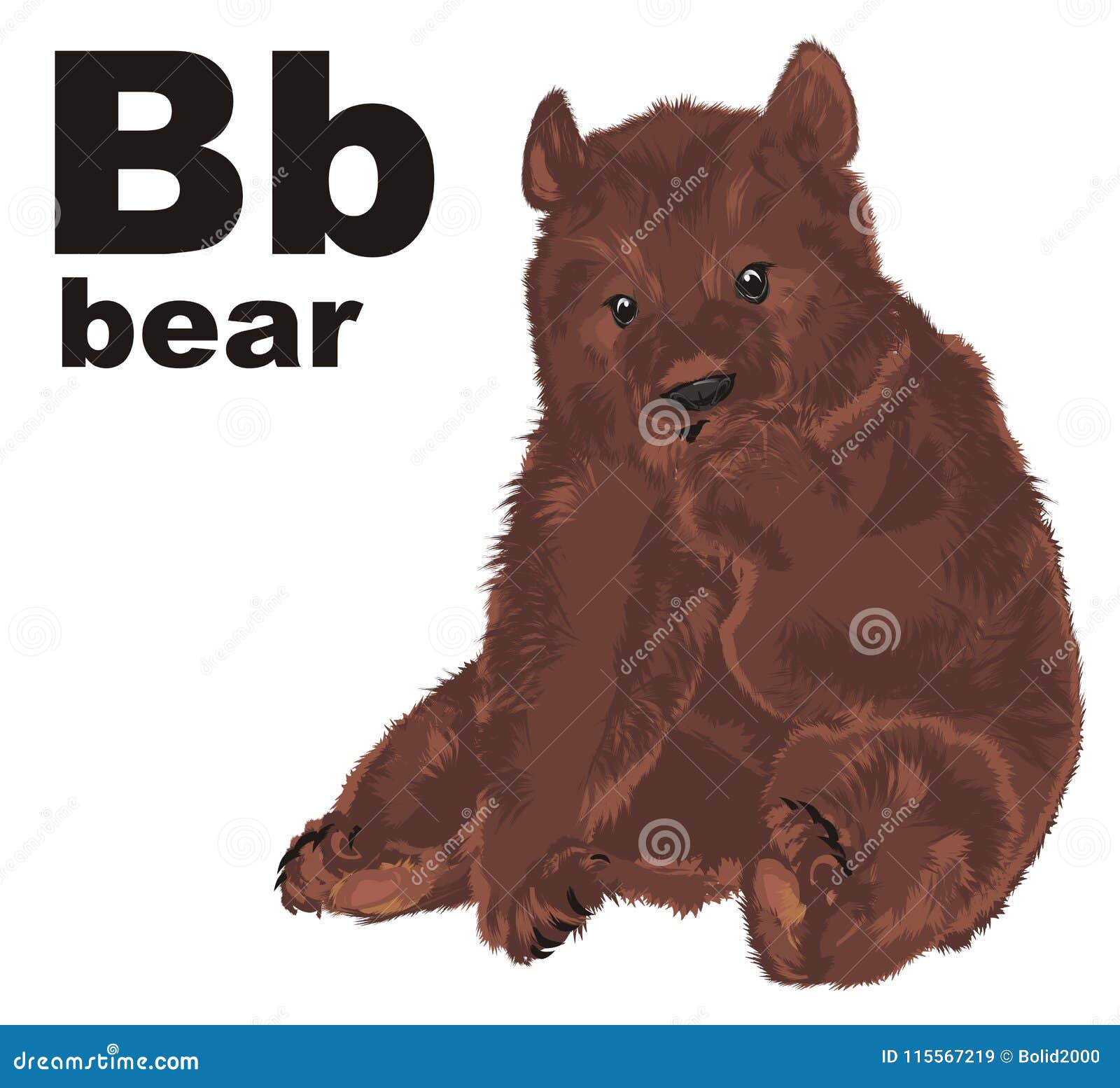 Английское слово медведь. Bear слово. Слово бир в виде медведя. Слово медведь с обводкой. Медведь с буквой z картинка.
