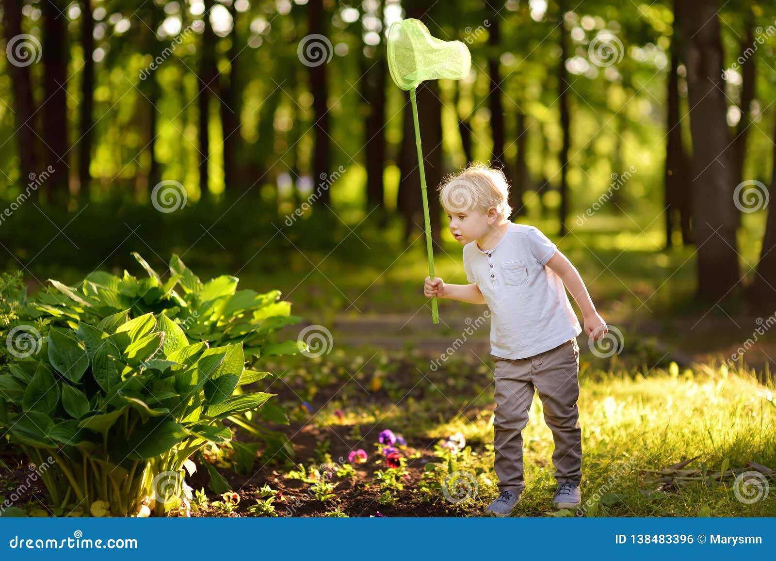 Наблюдать за бабочкой. Ребенок с сачком. Мальчик с сачком. Дети ловят бабочек. Дети ловят бабочек сачком.
