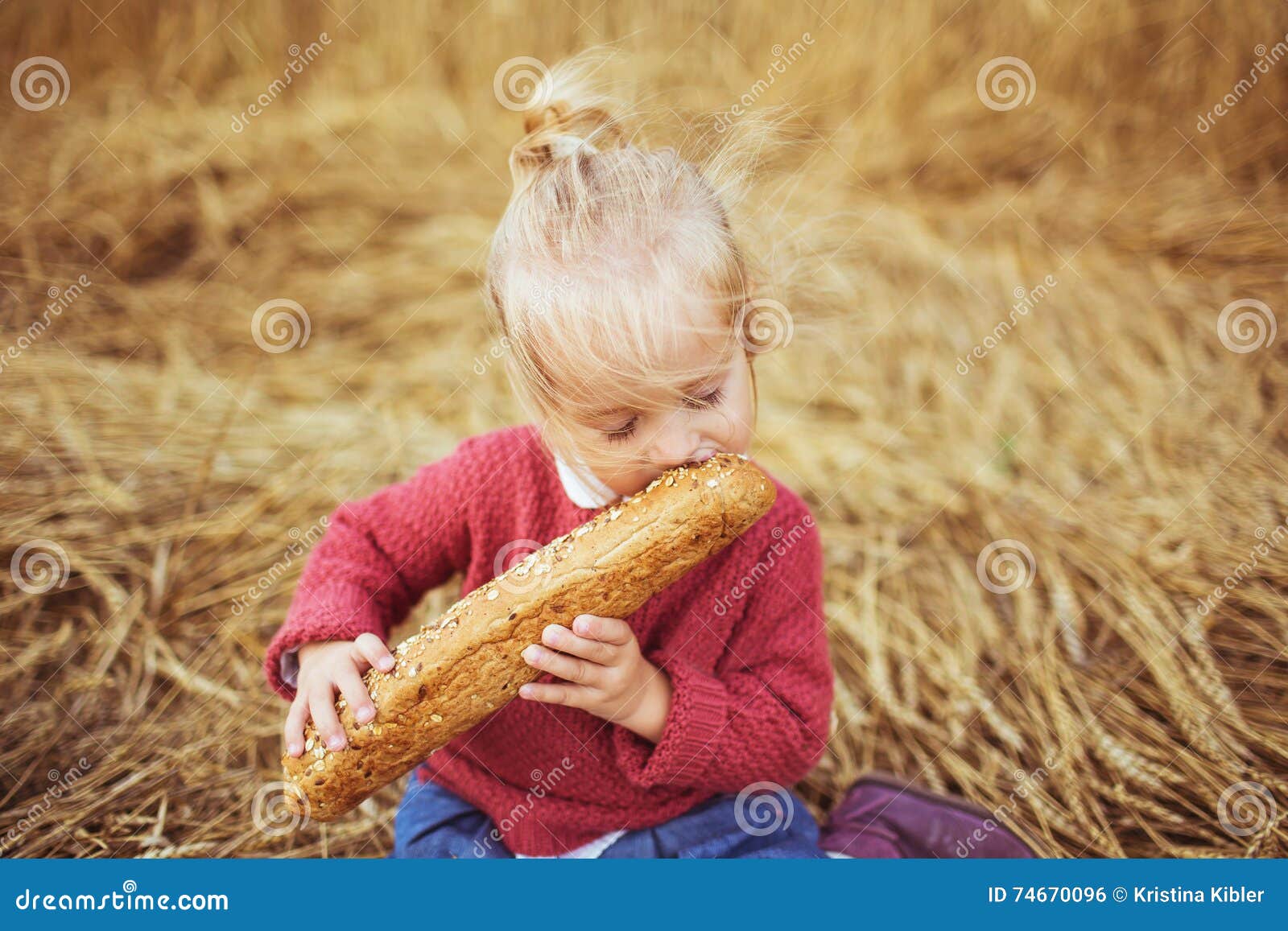 Собирают люди хлеб