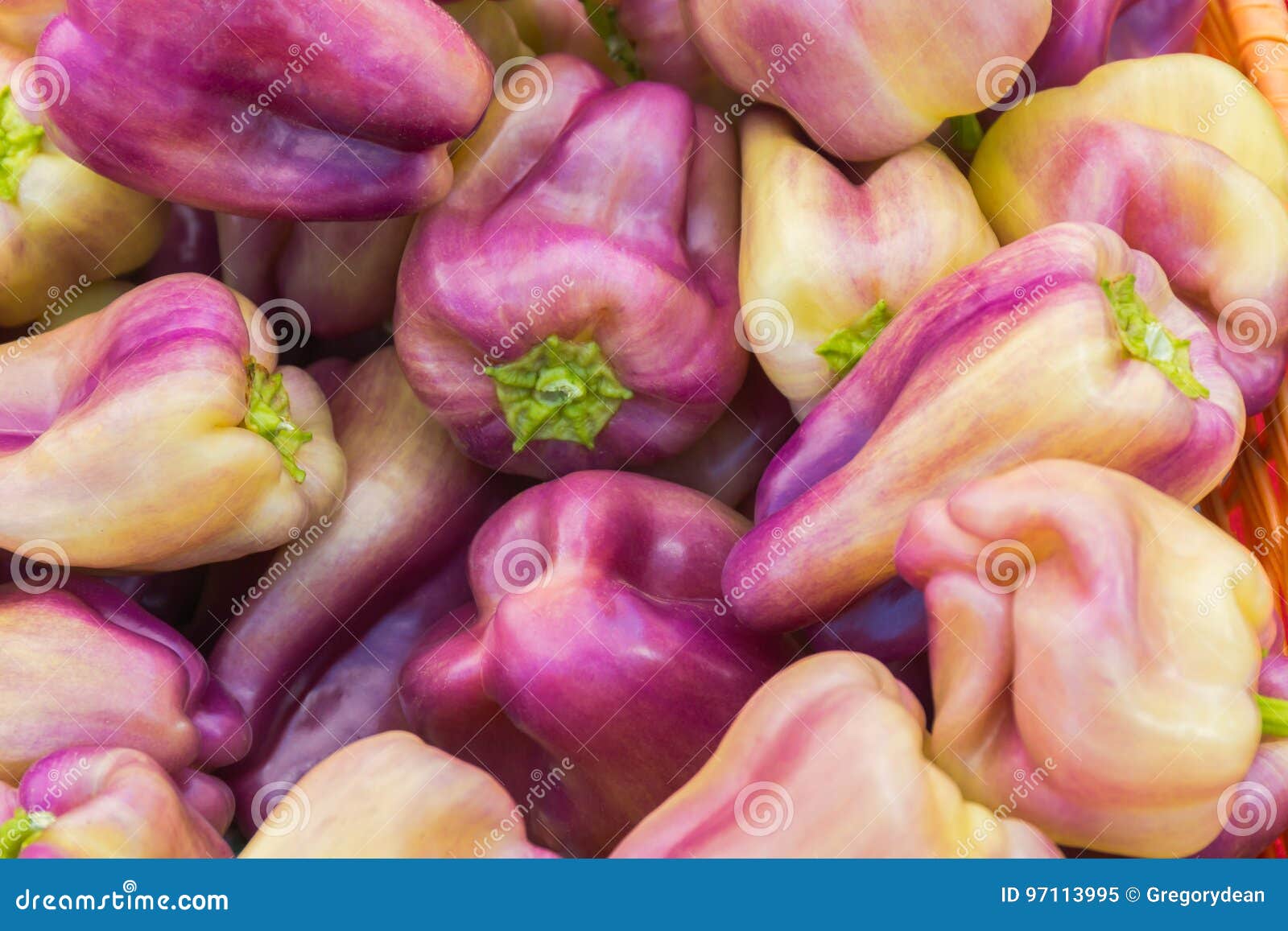Peppers перламутровые. Фиолетовый перец болгарский. Лиловый перец. Фиолетовый перец болгарский сорт. Бывает фиолетовый перец.