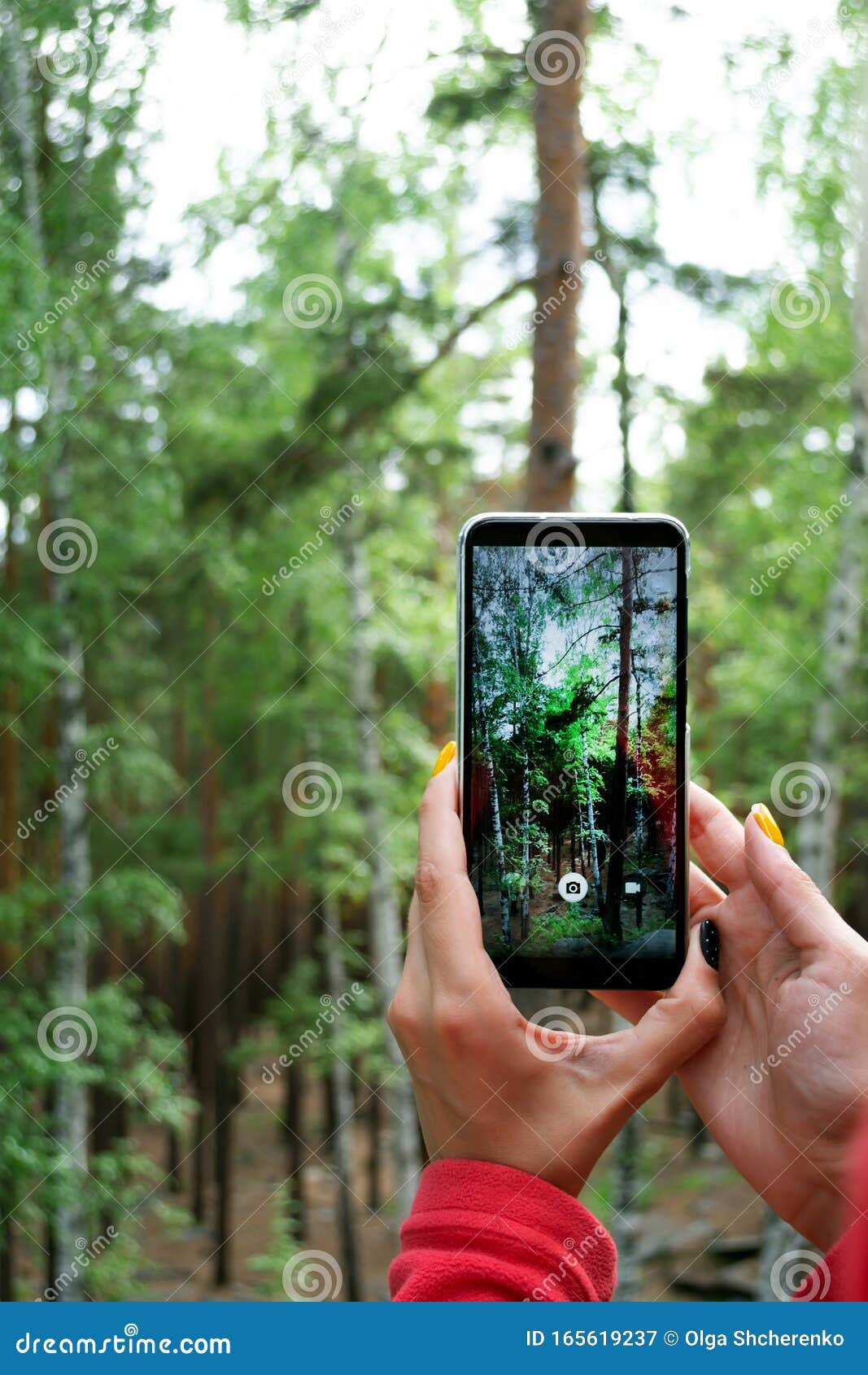 Мобильная концепция фотографии Женщина, держащая смартфон и фотографирующая  зеленый лес Стоковое Изображение - изображение насчитывающей фотоснимки,  пуща: 165619237