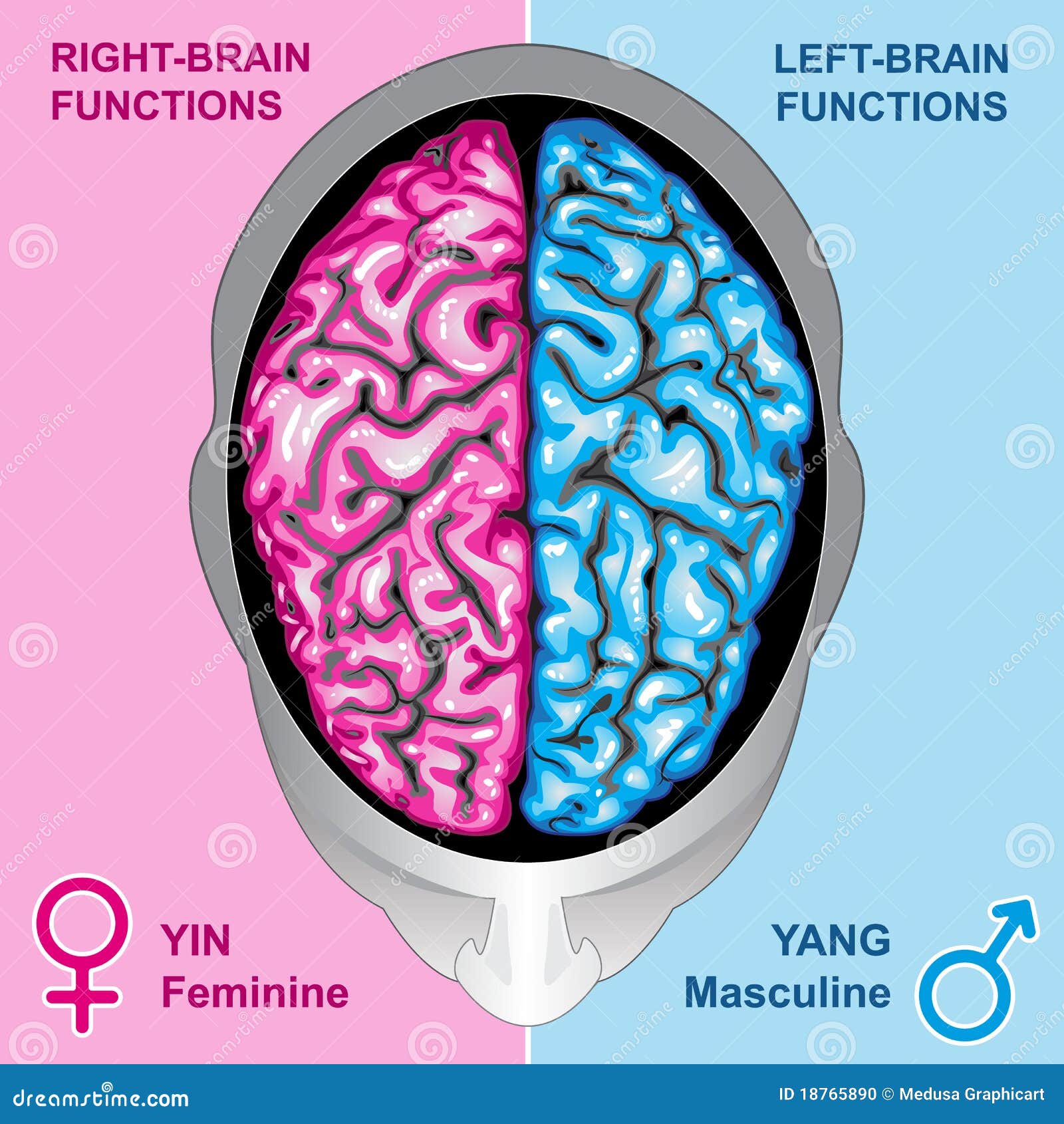 Левое полушарие доли. Левое и правое полушарие мозга. Левое полушарие мозга человек. Левое и правое полушарие мозга рисунок. Левый и правый мозг.