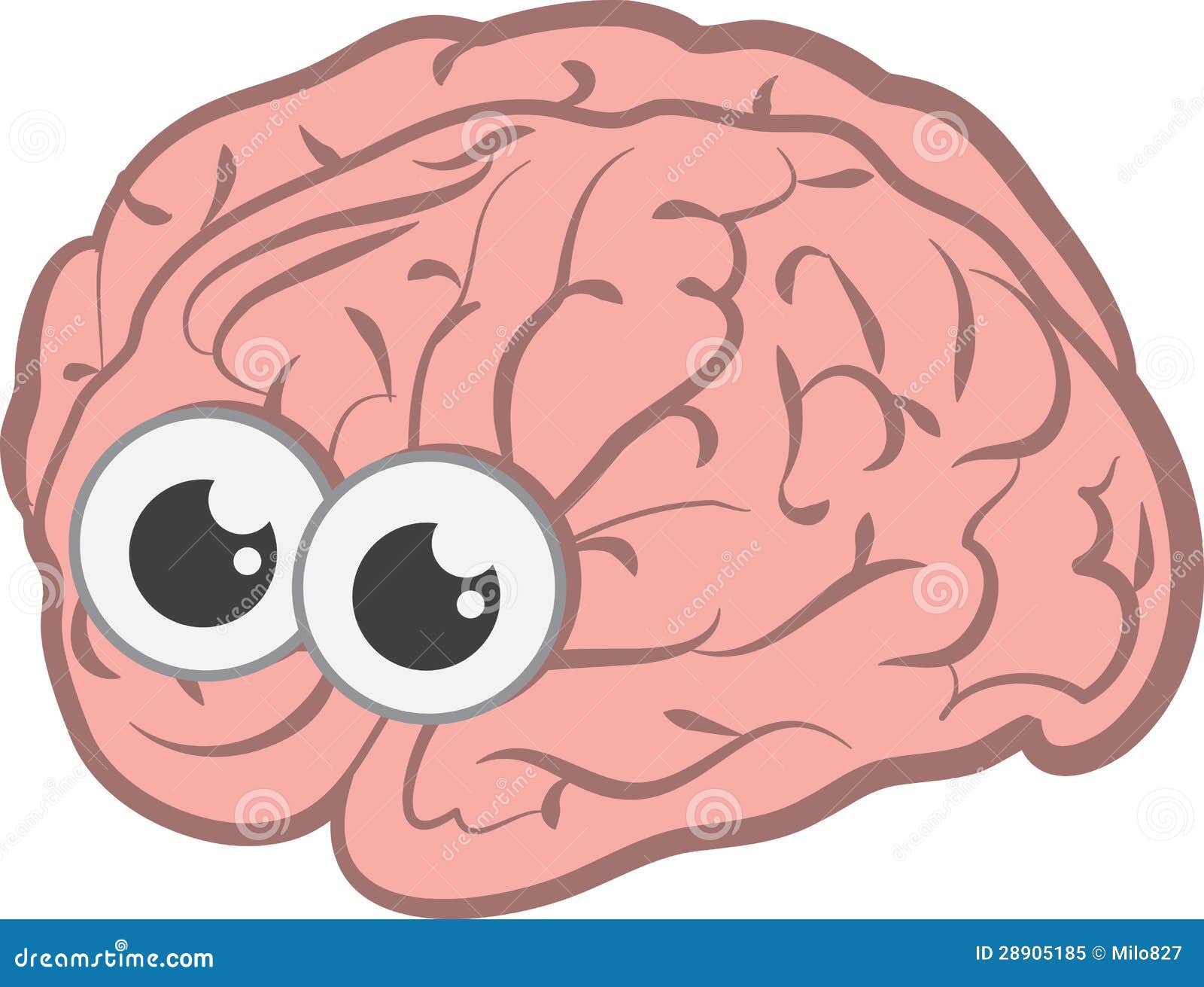 Мозг без головы крокус. Мозг с глазками. Головной мозг и глаза. Человеческий мозг с глазами.