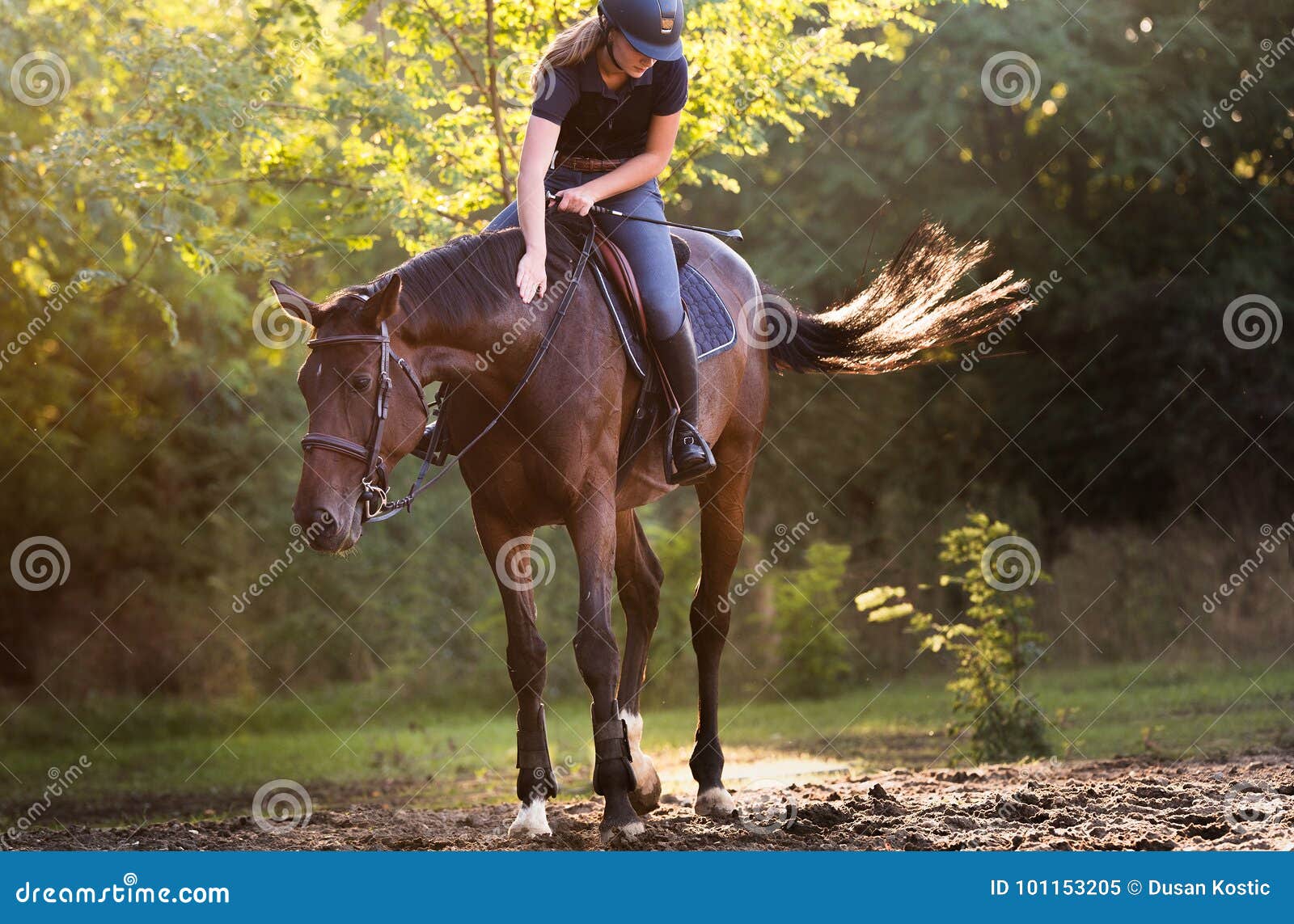 Мы вновь ехали на лошадях и любовались. Красивые девушки верхом. Ехать на лошади. Девушка верхом вид спереди. Девушка свисает с коня.
