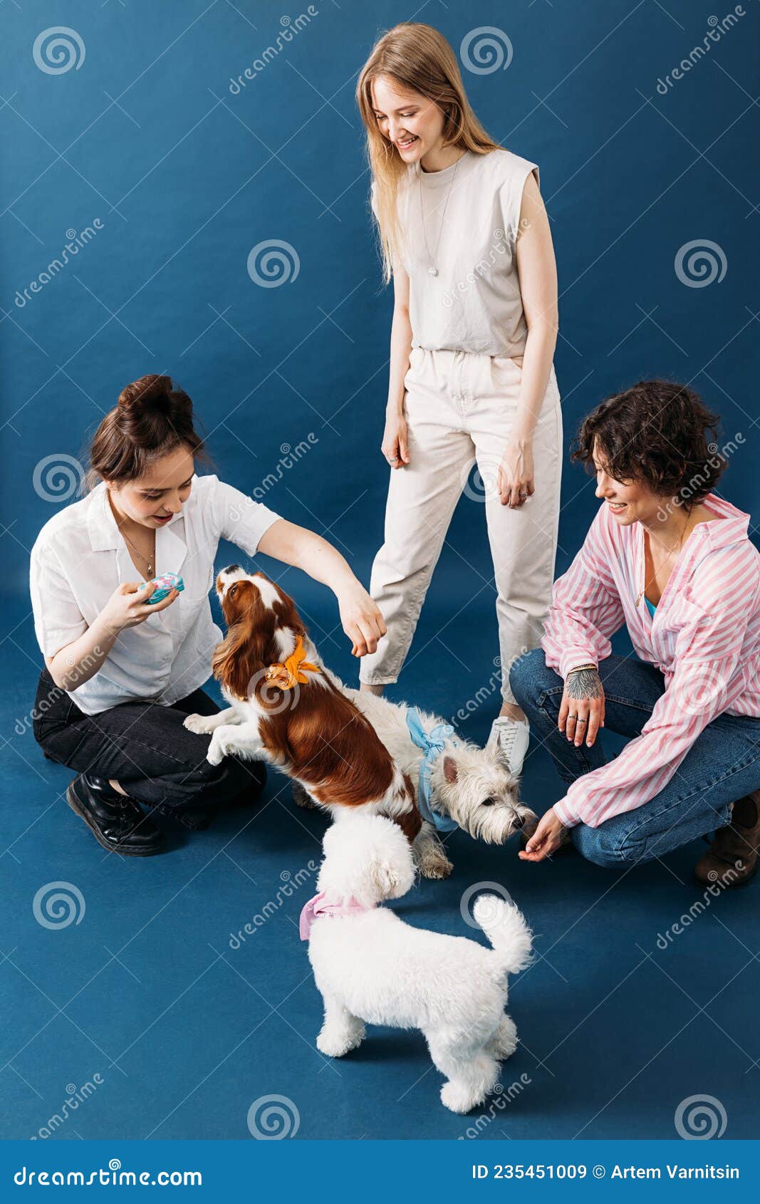 молодые девушки и их собаки играют вместе в студии Стоковое Изображение -  изображение насчитывающей кавказско, молодо: 235451009