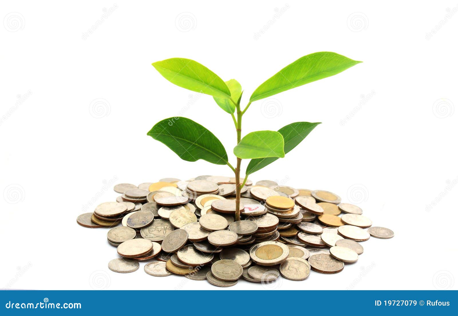 Березка деньги. Дерево с деньгами. Росток из монет. Деньги растут на деревьях. Дерево денег и финансов.