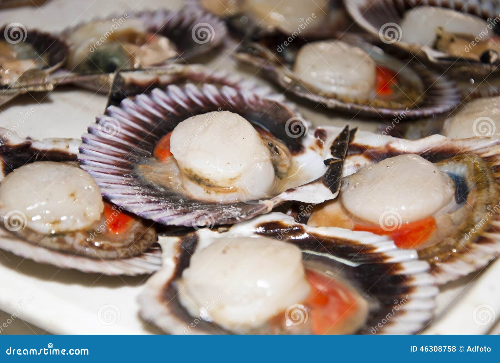 Какие на вкус гребешки. Морепродукты в ракушках. Морской гребешок блюдо. Виды морепродуктов в ракушках. Морепродукты в раковинах названия.