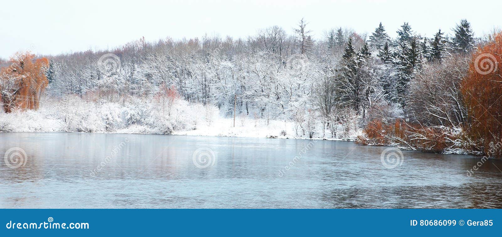 морозная зима снежностей природы утра Стоковое Изображение - изображение  насчитывающей природа, макрос: 80686099