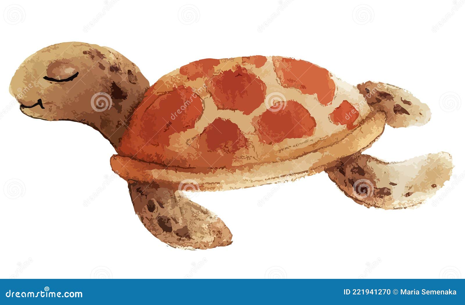 морская черепаха. реалистичный художественный цветной рисунок морской  черепахи на белом фоне в стиле акварели. Иллюстрация вектора - иллюстрации  насчитывающей характер, морск: 221941270