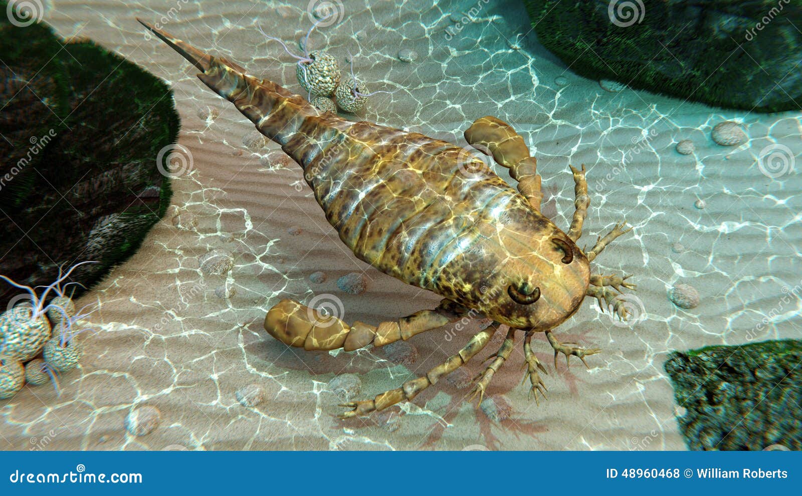 Морской скорпион