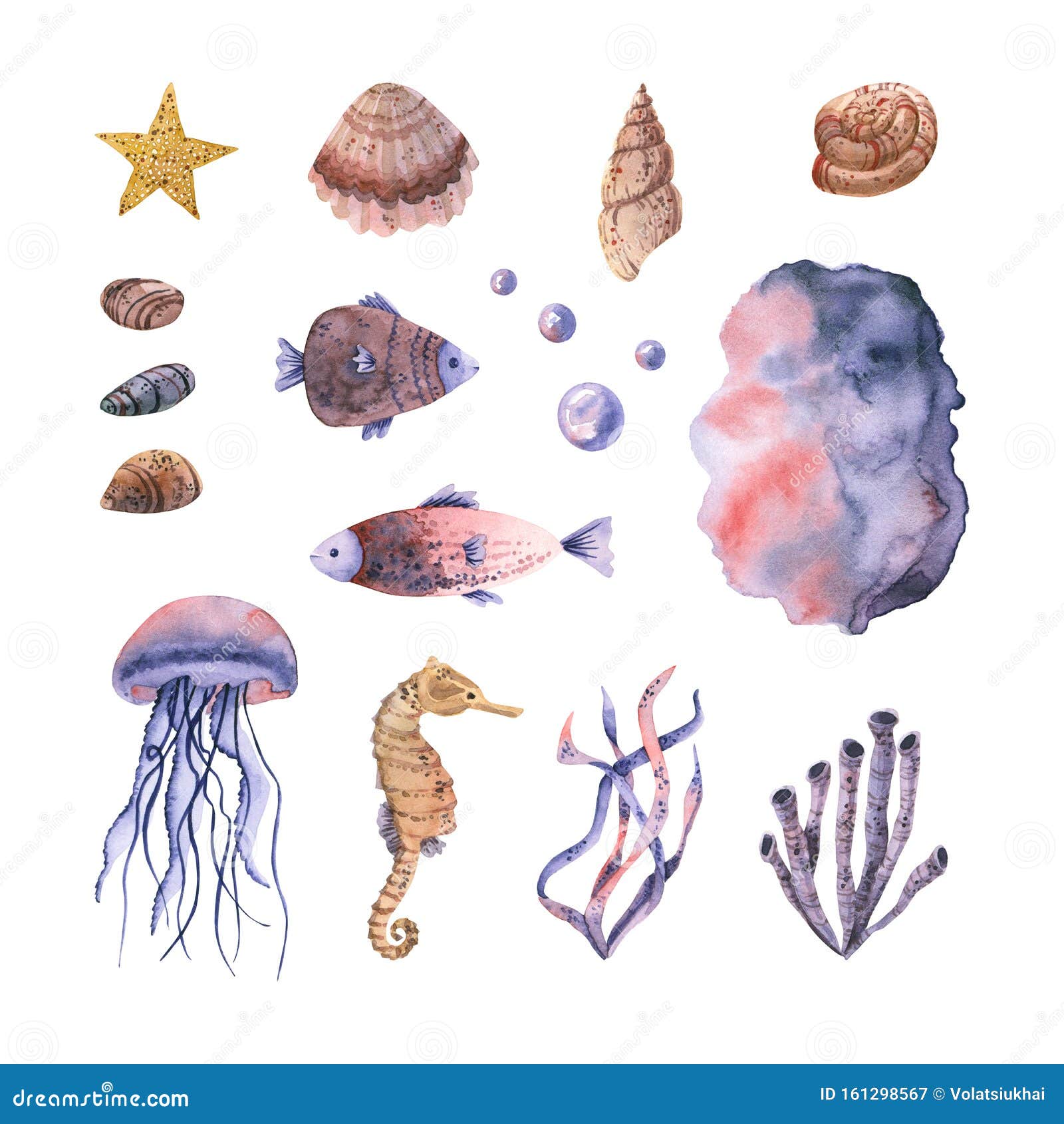 Водоросли ракушки. Ракушки водоросли. Обитатели моря водоросли и моллюски. Море с птицами водоросли ракушки пена картинка для детей 5 лет.