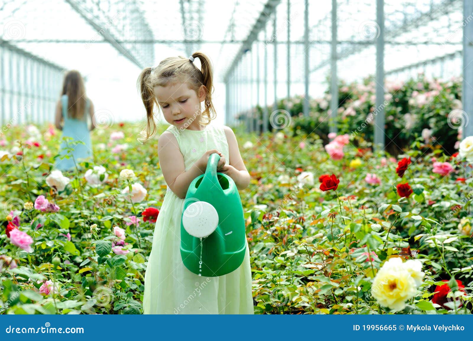 The flowers to water every day. Девочка в теплице. Девочка поливает цветы. Девушка поливает цветы. Дети с цветами в оранжерее.