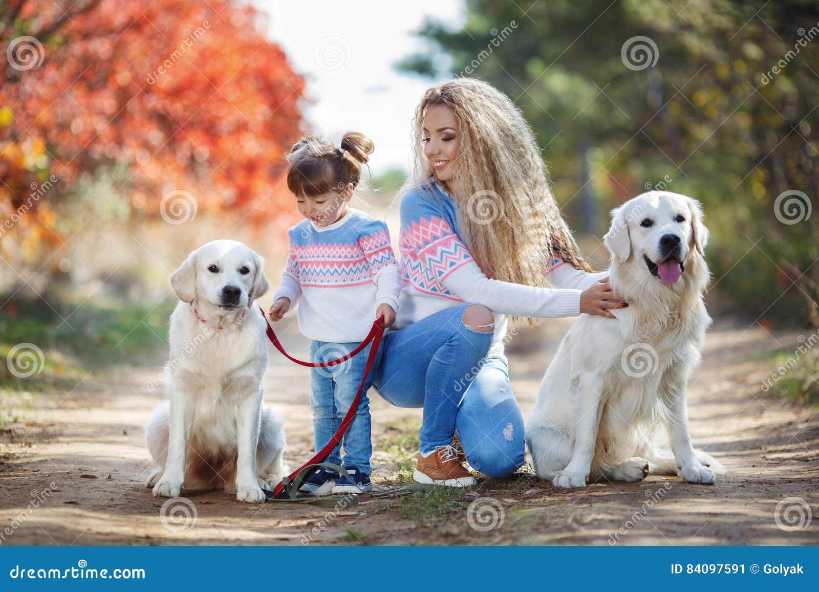 Girl two dog. Прогулки ретривера. Лабрадор на прогулке. Фотосессия осенняя с ретривером семейная. Девочка гуляет с лабрадором.