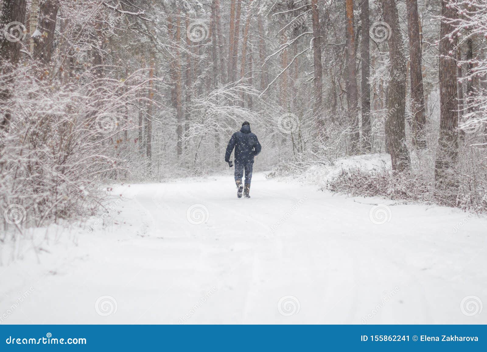 Look it is snowing. Ходить по снежному лесу. Одиночку в лесу зимой. Мужик гуляет по зимнему лесу. Одинокая фигура зимой лес.