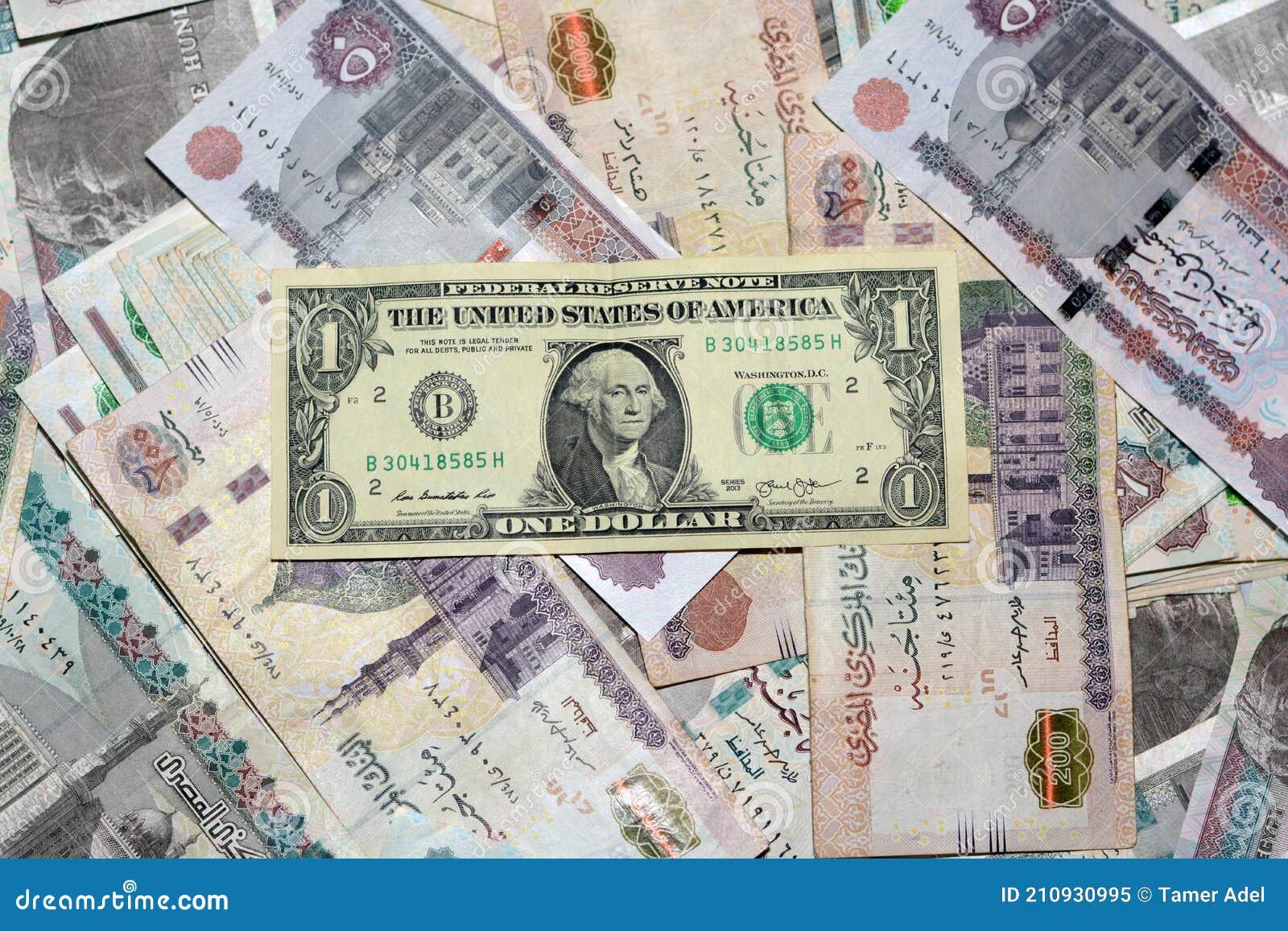 Старые доллары в египте 2024