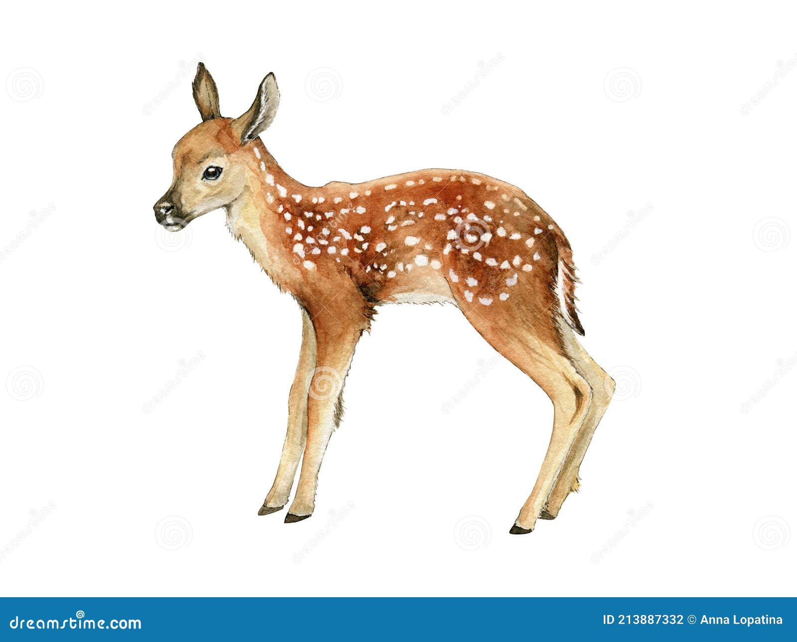 Небольшие олени. Красивое изображение оленя. Иллюстрация Bambi акварели..  Дикая молодое животное оленя с белыми пятнами. Лес и Стоковое Фото -  изображение насчитывающей чертеж, пуща: 213887332