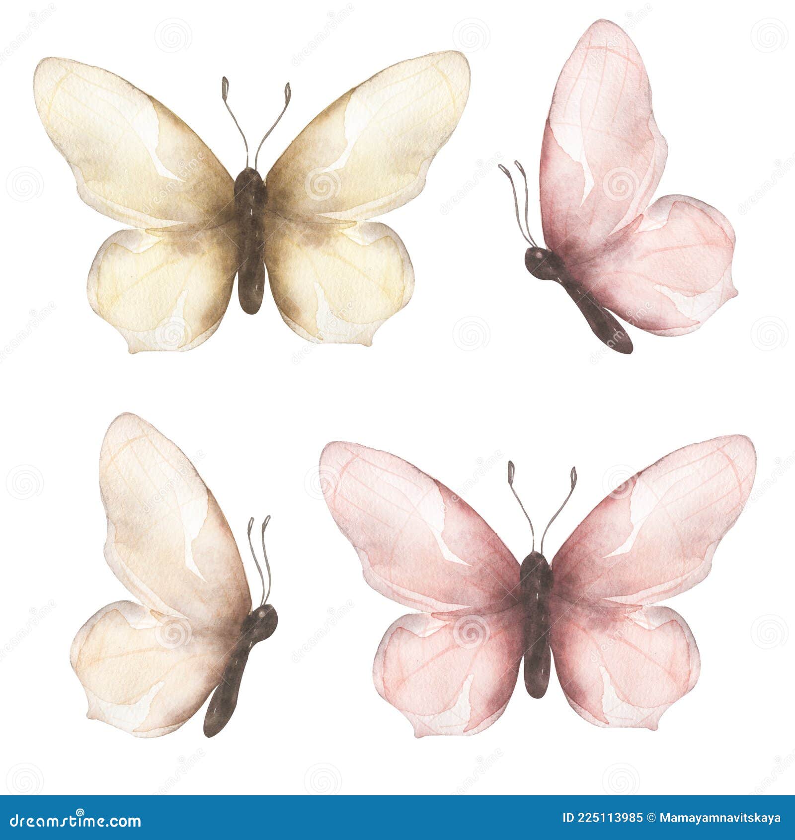 нежный бабочка клипарт акварельные насекомые иллюстрации бабочки клип арт приглашение свадьба логотип дизайн детская душа Иллюстрация штока - иллюстрации насчитывающей бабочка, хрупкость: 225113985