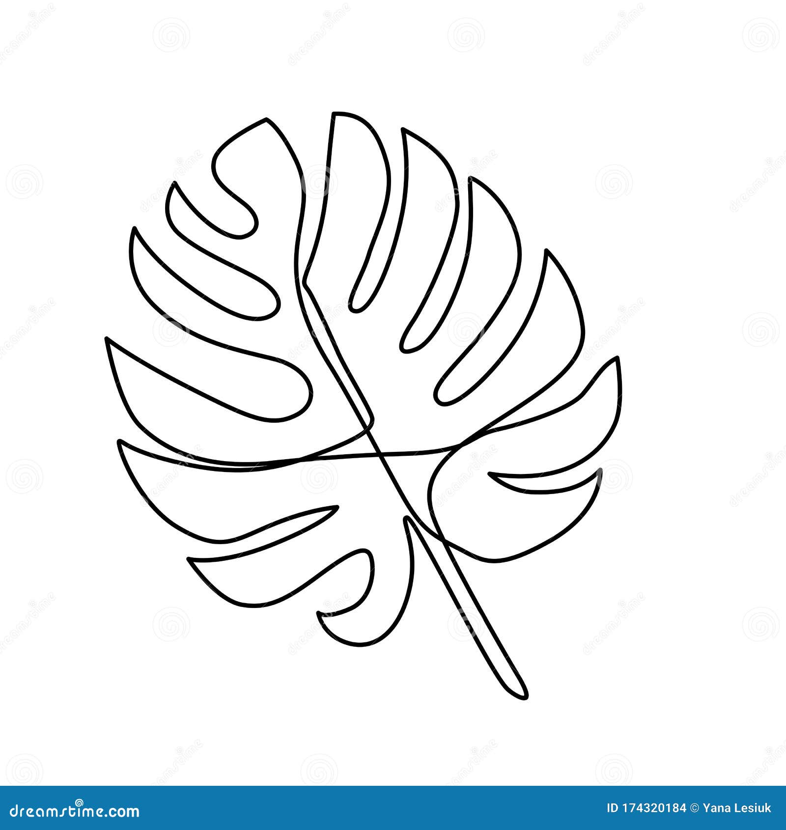 Непрерывная линия Monstera лист. Тропические листья контурят рисунок  Иллюстрация вектора - иллюстрации насчитывающей непрерывно, ярлык: 174320184