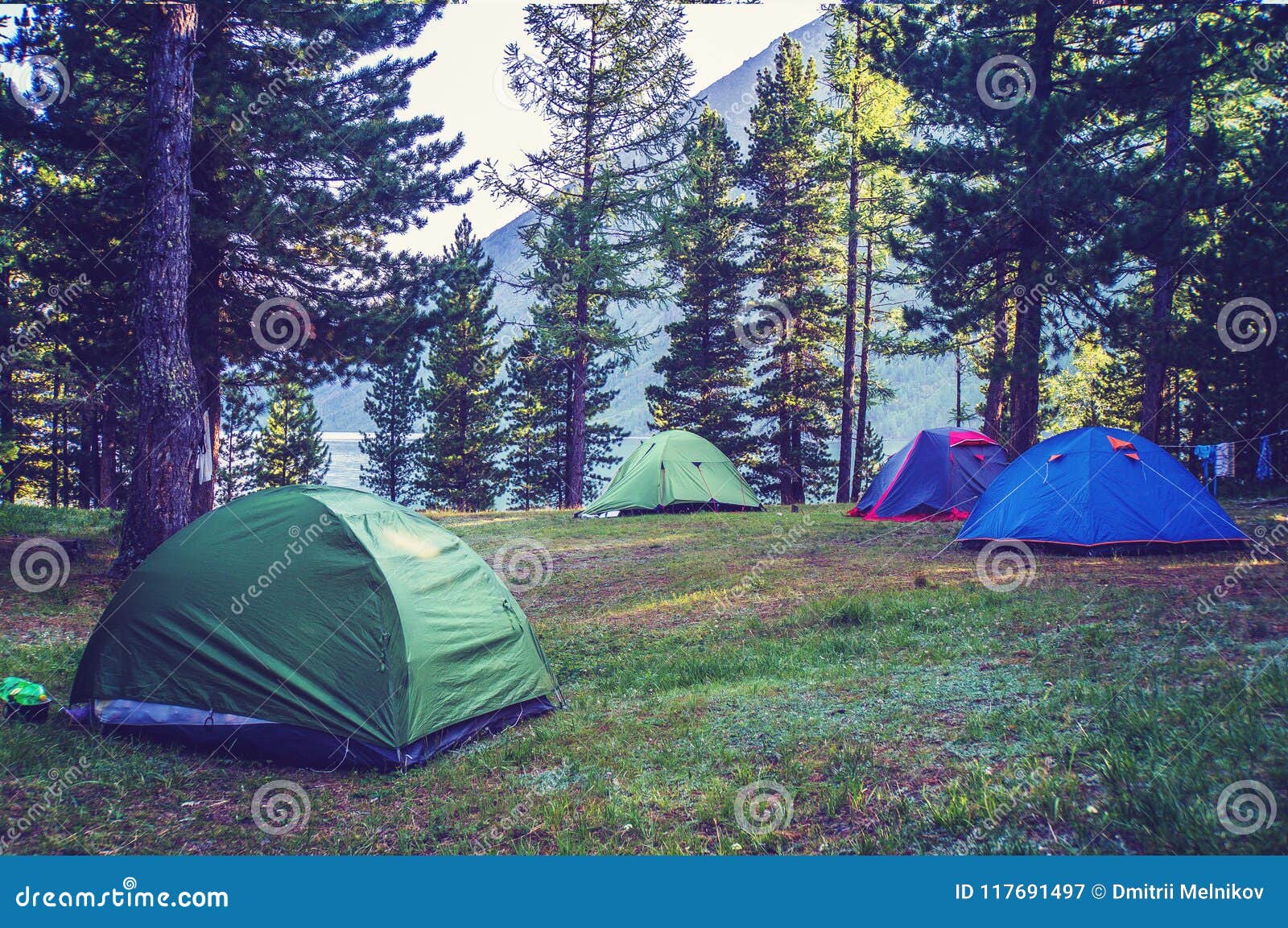 Camping pinewood 2 на русском. Кемпинг Луга. Луга с палатками. На Поляне стояла палатка. Лужский кемпинг.