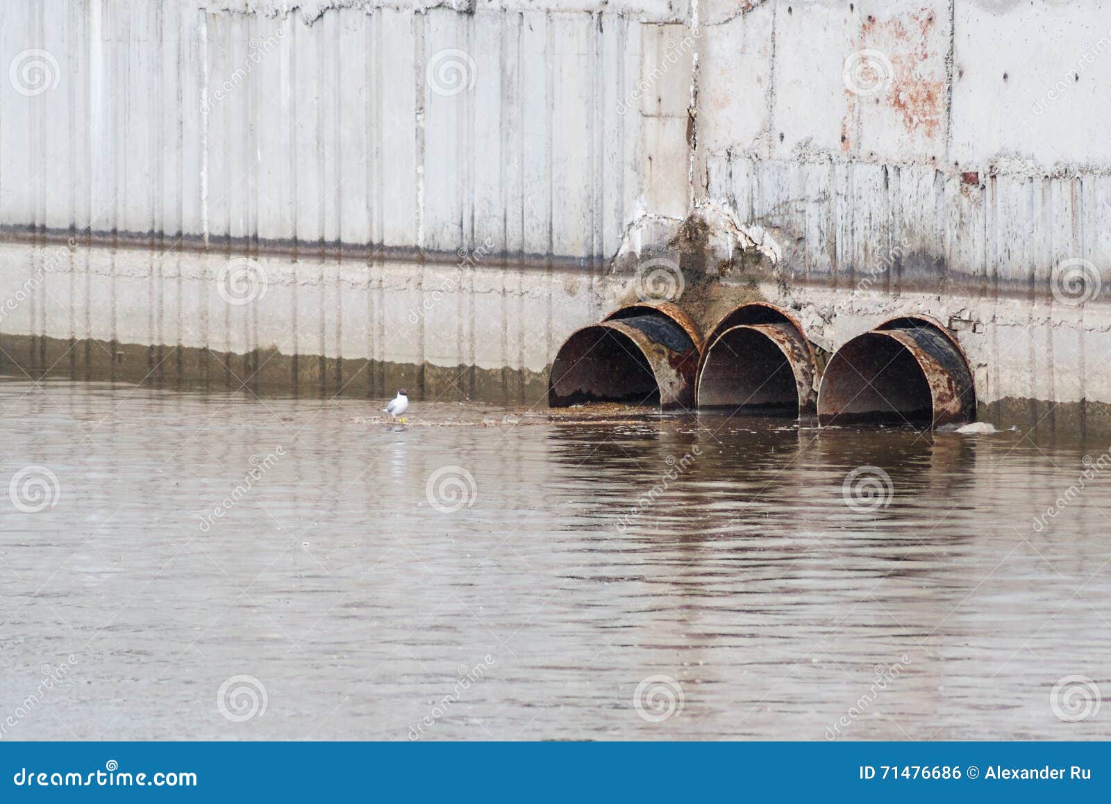 Сливать грязную воду