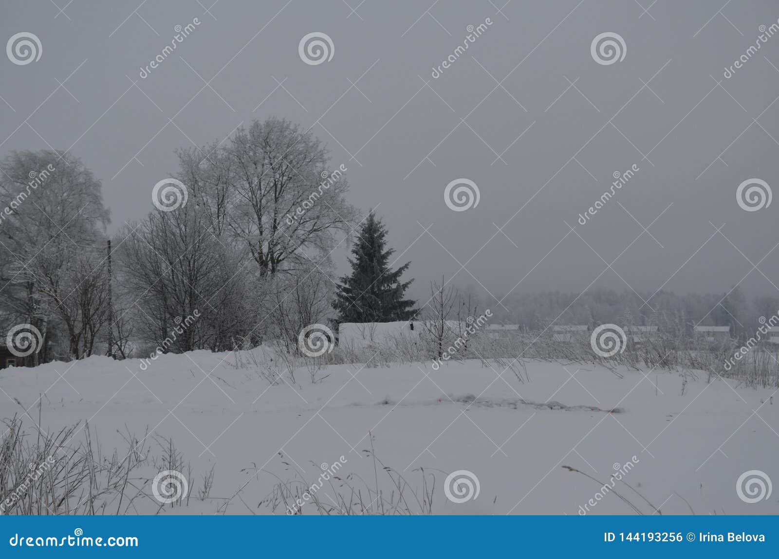 Новый Год в деревне стоковое фото. изображение насчитывающей снежок -  144193256