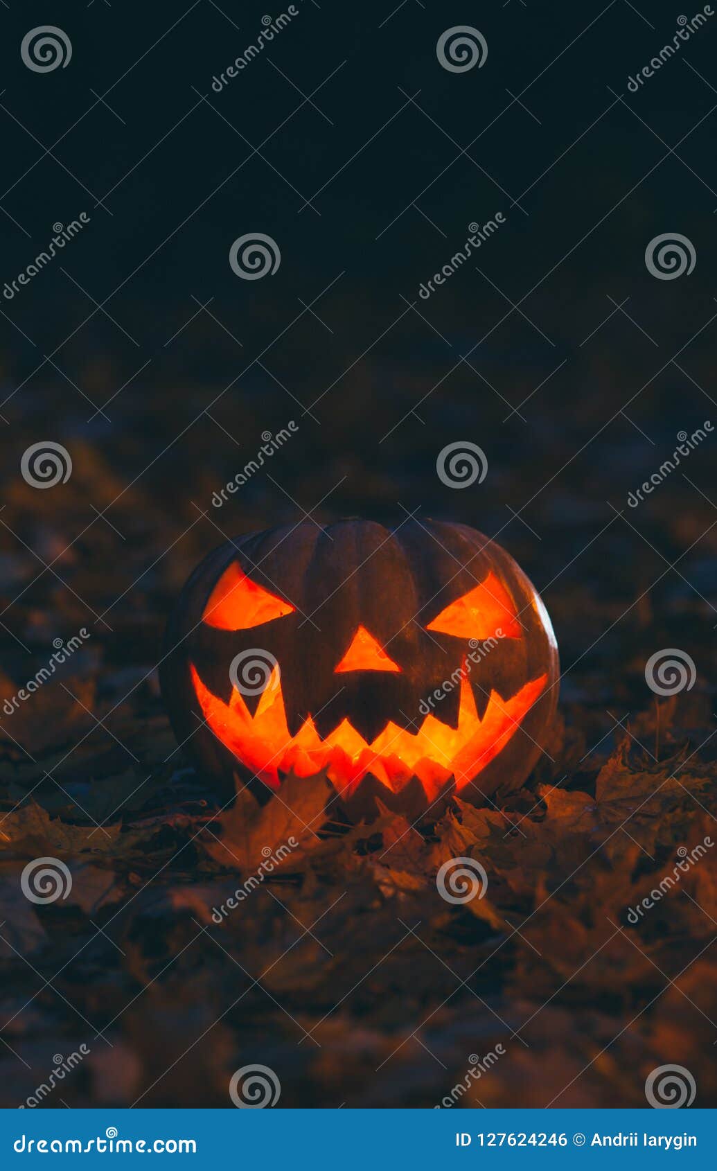 Обои тыквы хеллоуина для Smartphone Стоковое Фото - изображение  насчитывающей сезон, торжество: 127624246