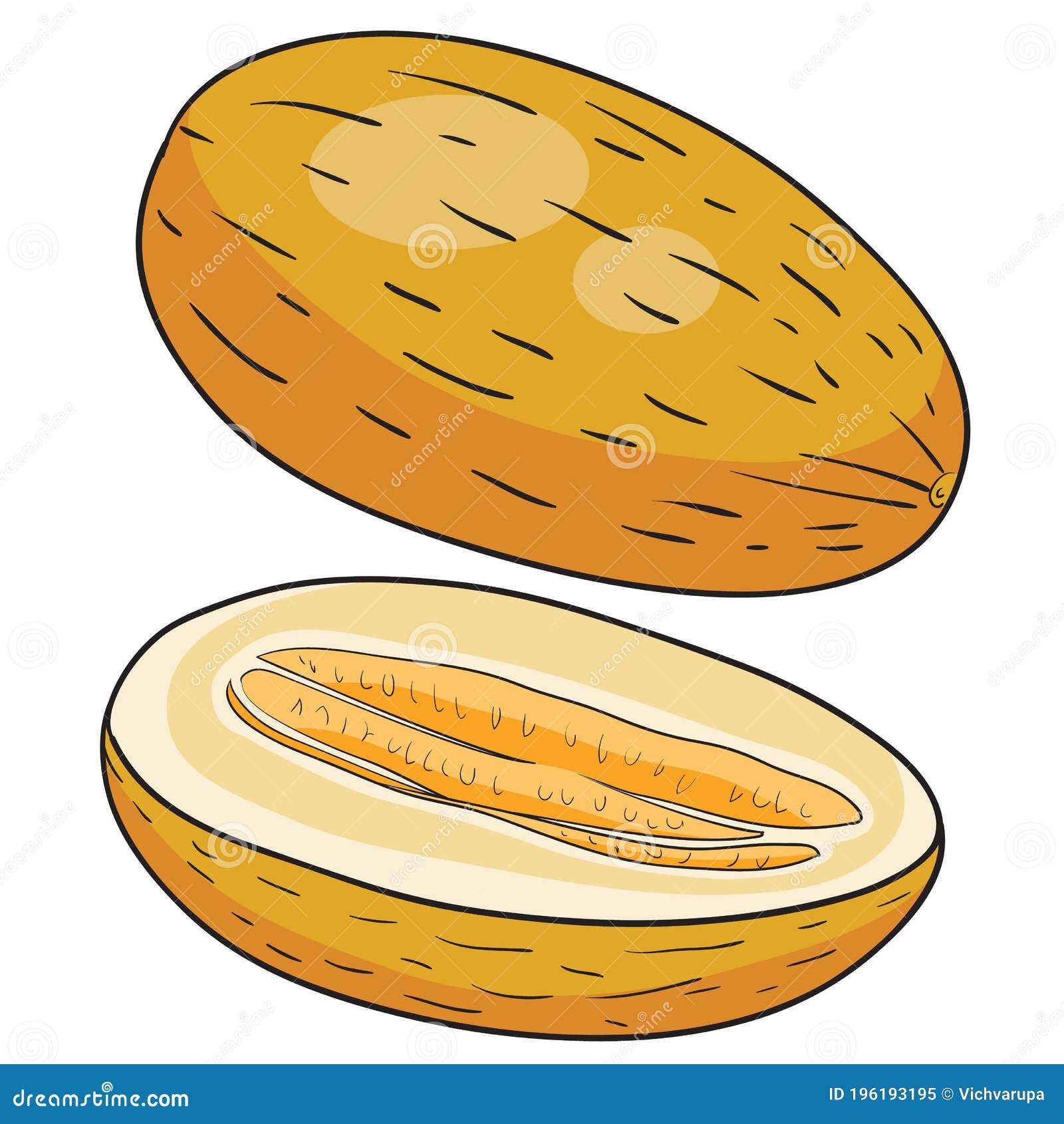 Дыни Рисунок